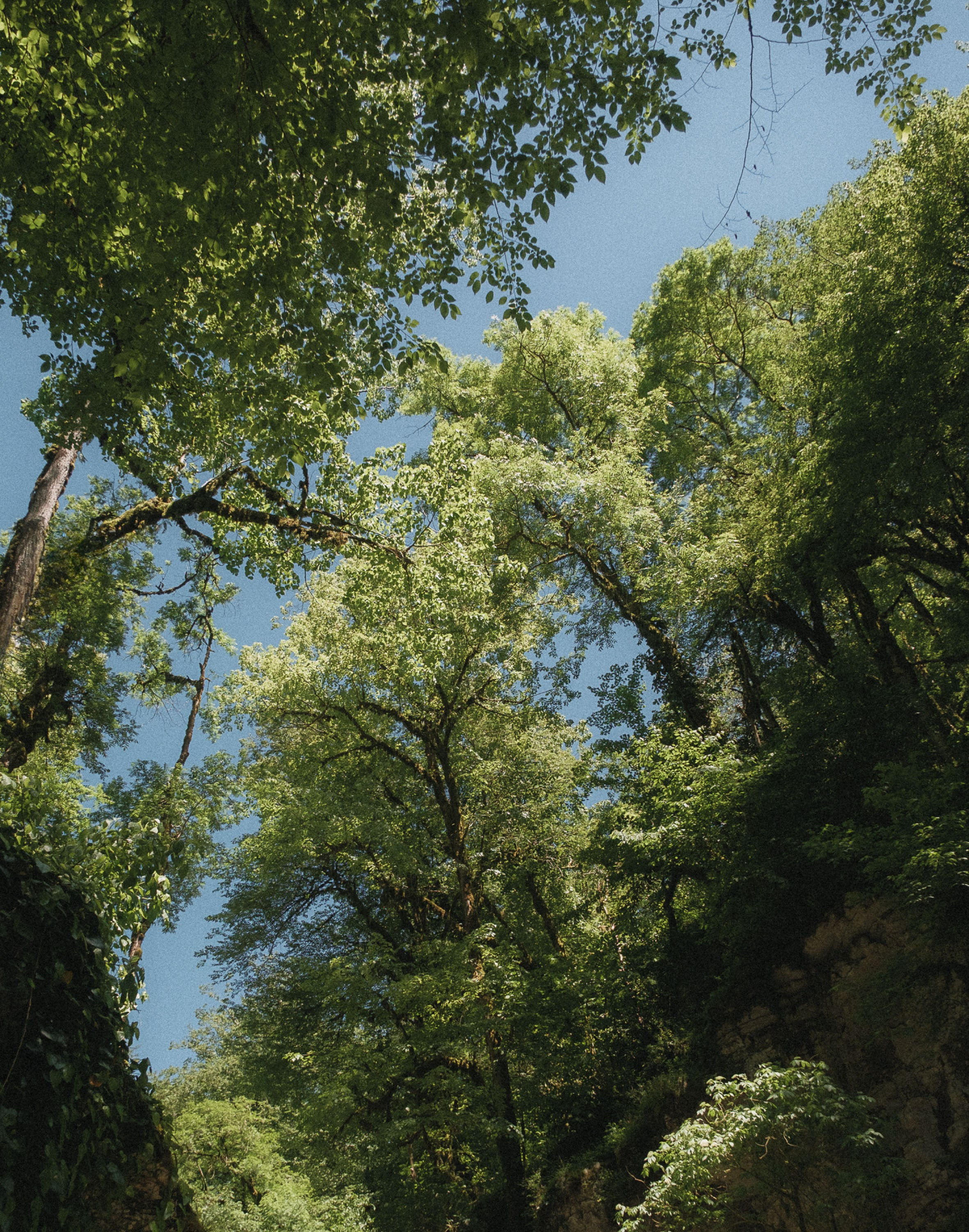 Одно целое. Семейный и свадебный фотограф в Краснодаре