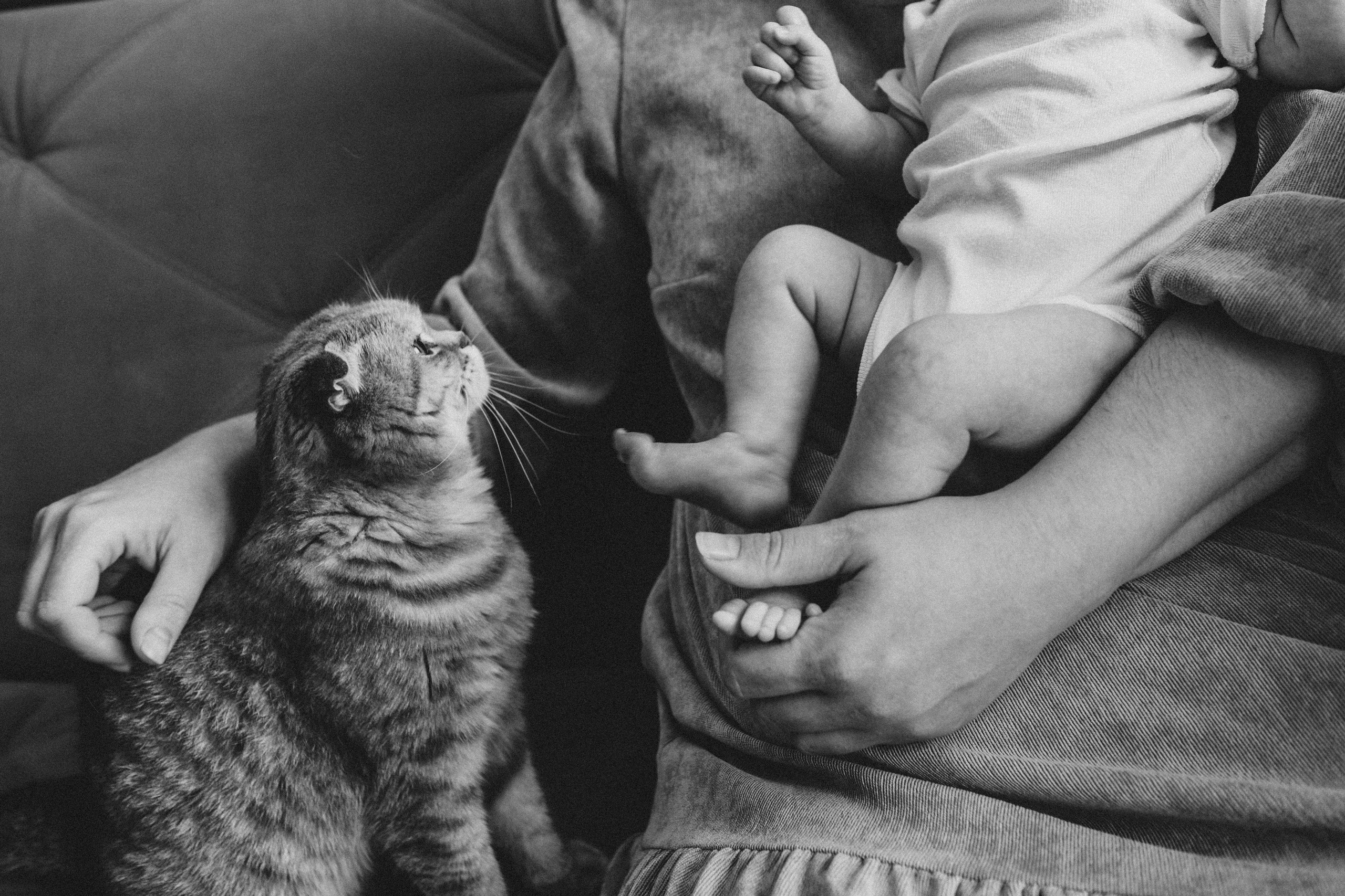 Ефросинья родилась. Семейный фотограф Москва и Домодедово Ольга Игнатова