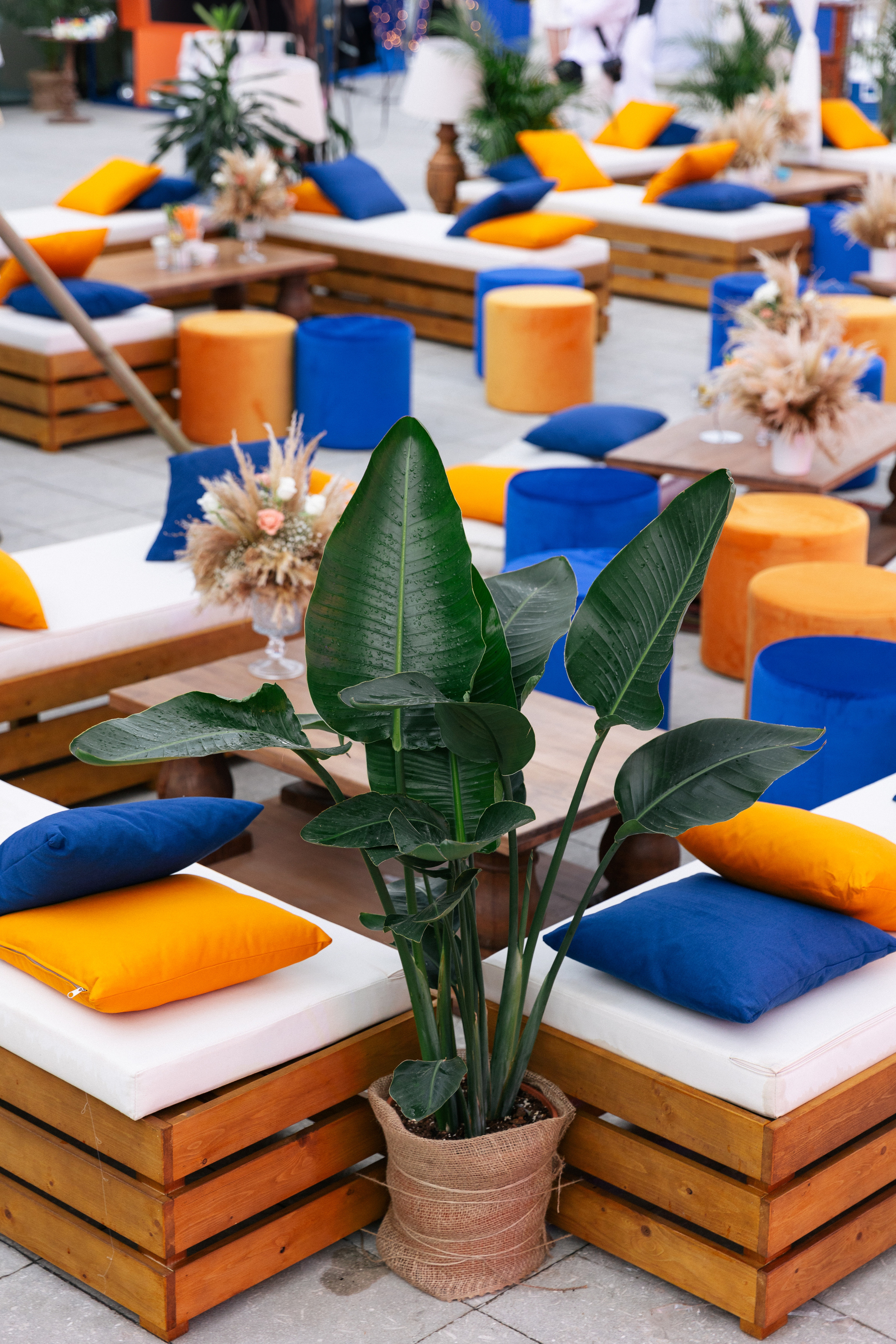 FYST. Свадебный фотограф Москва Степановский Александр