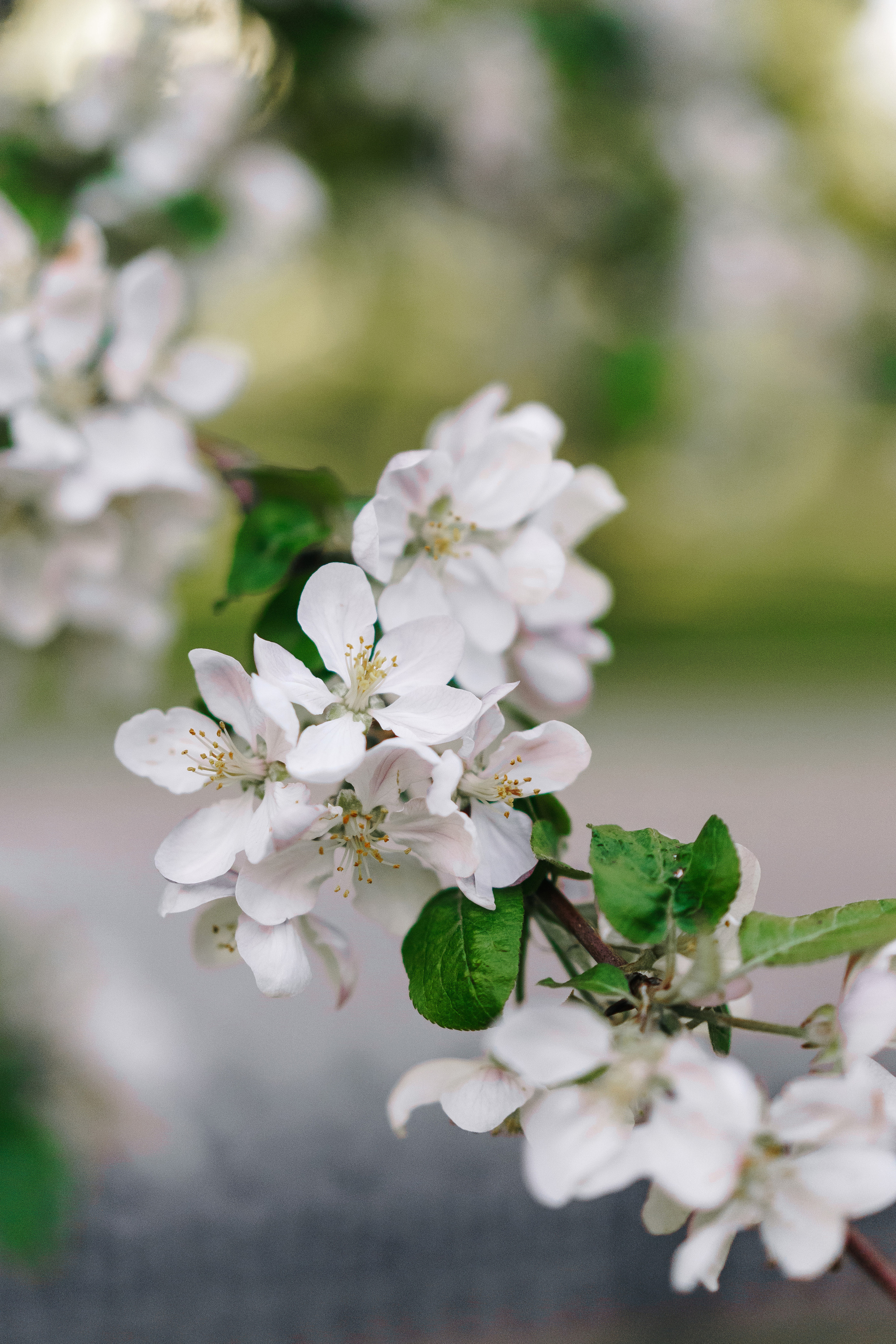 Екатерина. Фотограф в Нижнем Новгороде Александр Кудрявцев