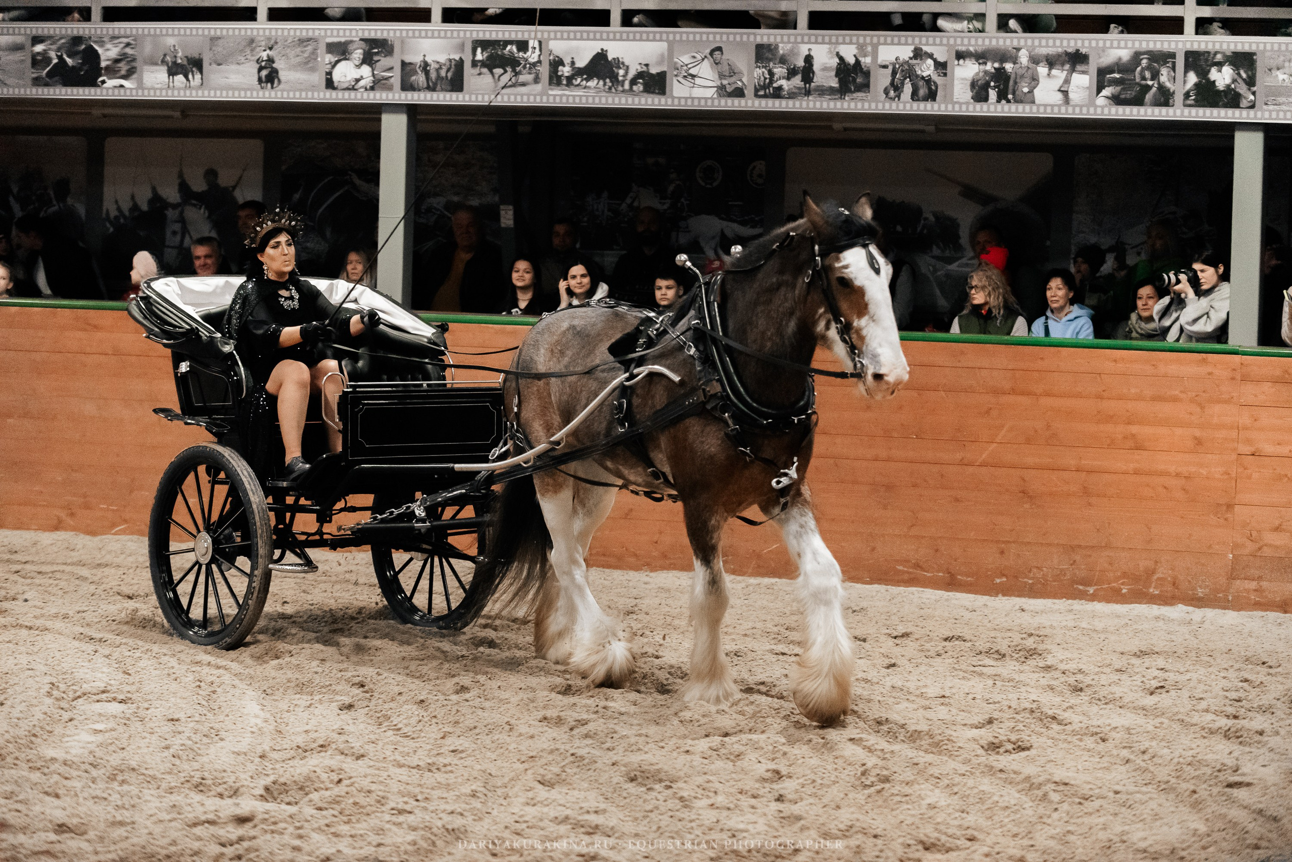 Конное представление «Дыхание Звёзд». Конный фотограф Куракина Дарья • Фотосессии с лошадьми