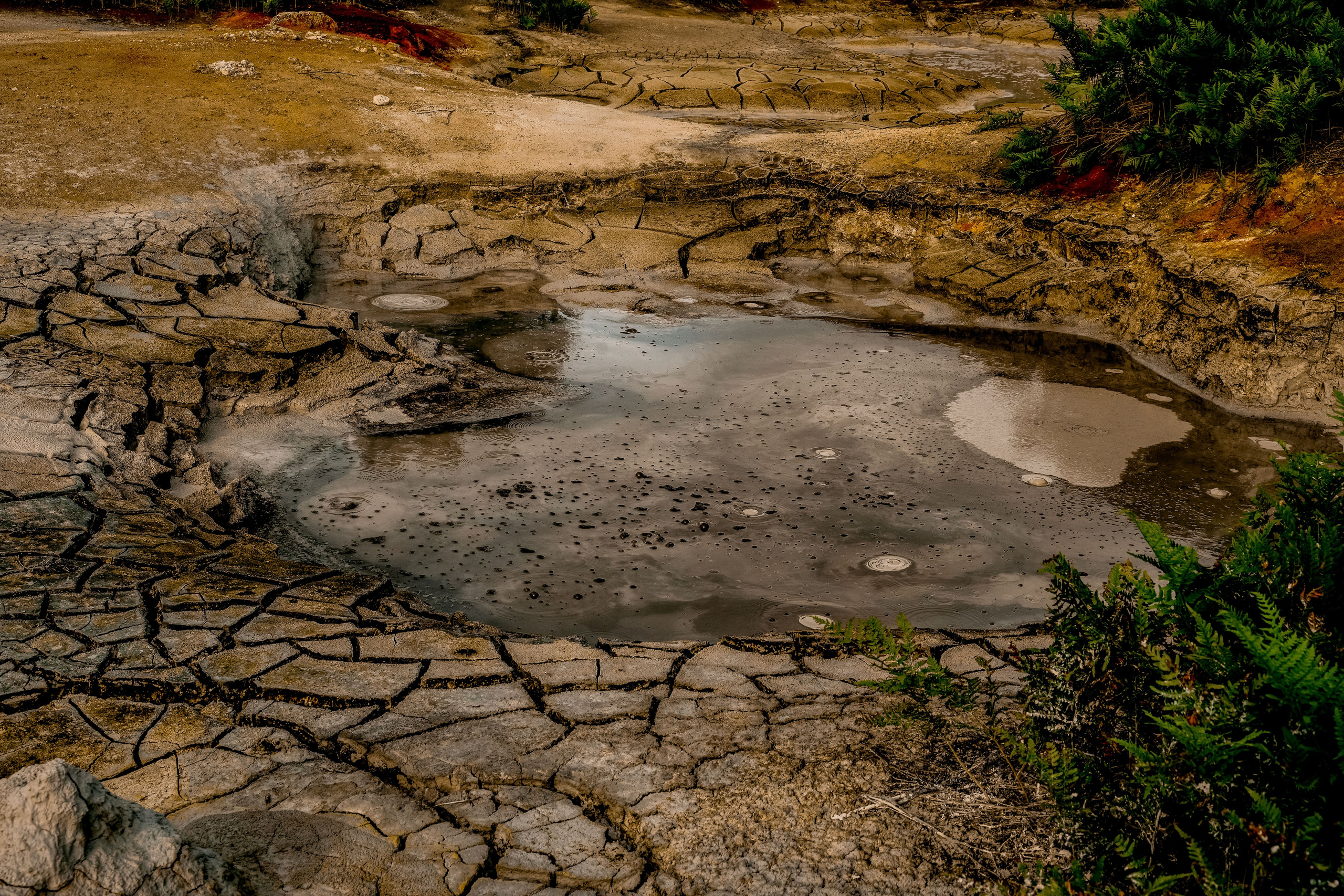 Путешествия и пейзаж. Репортажный фотограф в Красной Поляне и Сочи Павлюченко Екатерина