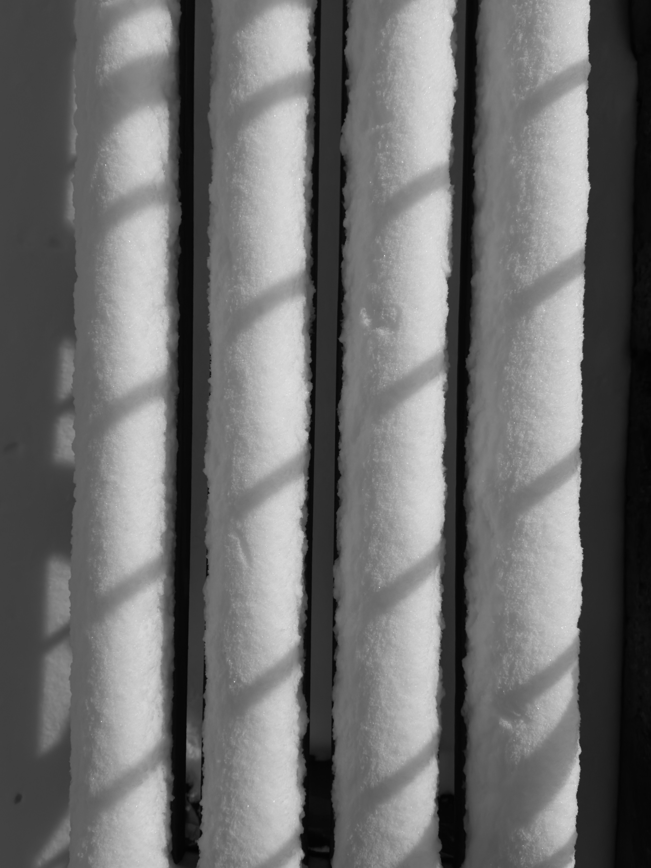 Визуальный дневник. Репортажный фотограф в Алматы Цой Сергей