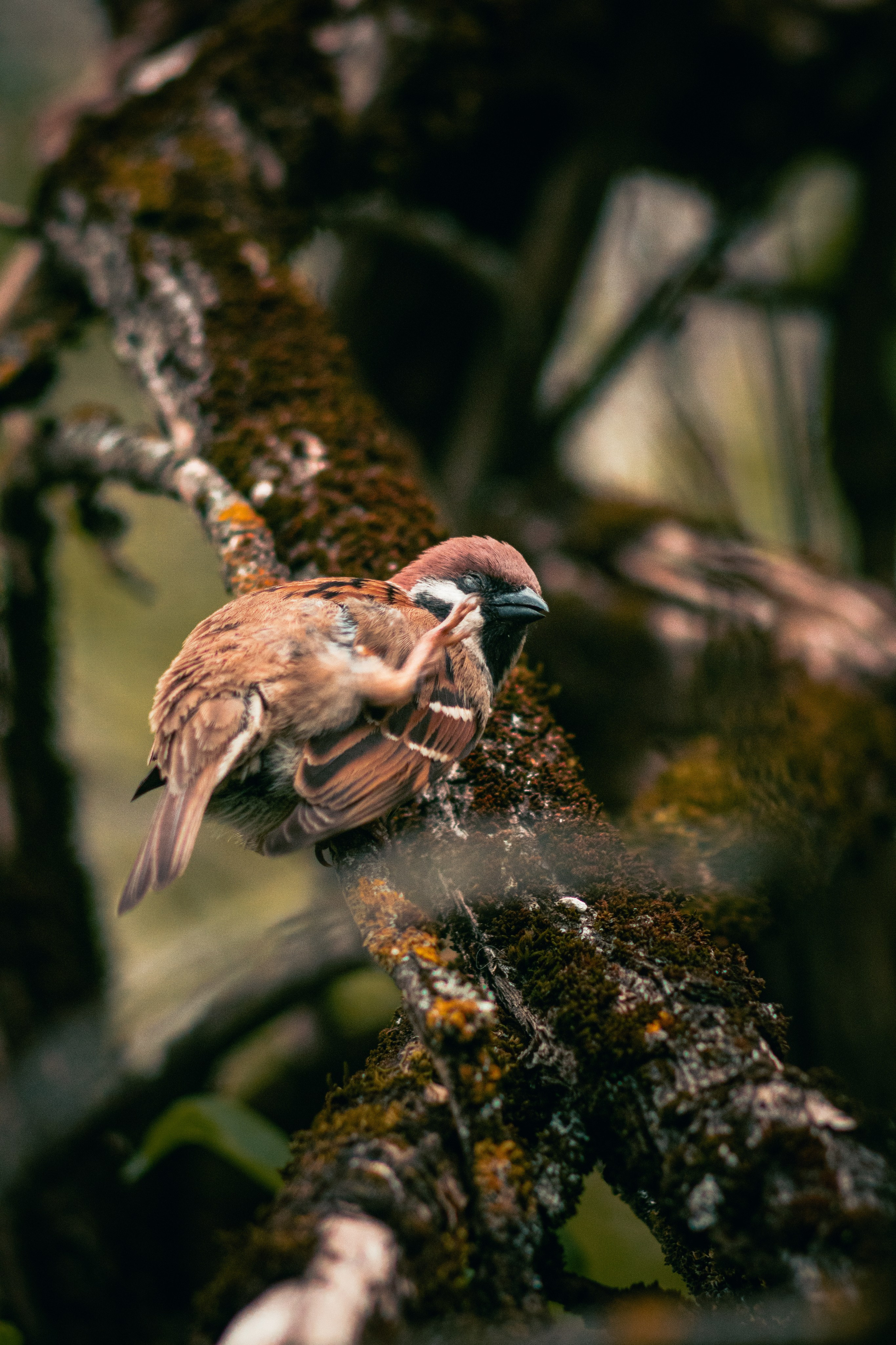 Без людей. Фотограф Крутой Максим