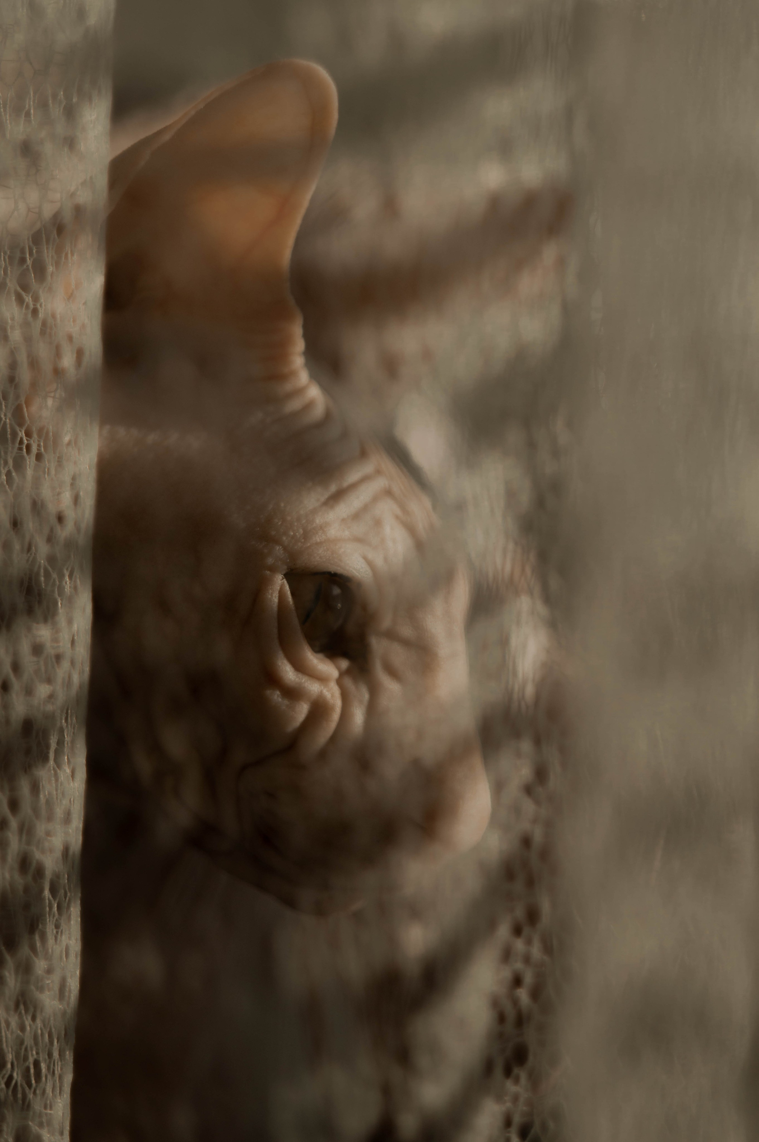 Без людей. Фотограф Крутой Максим