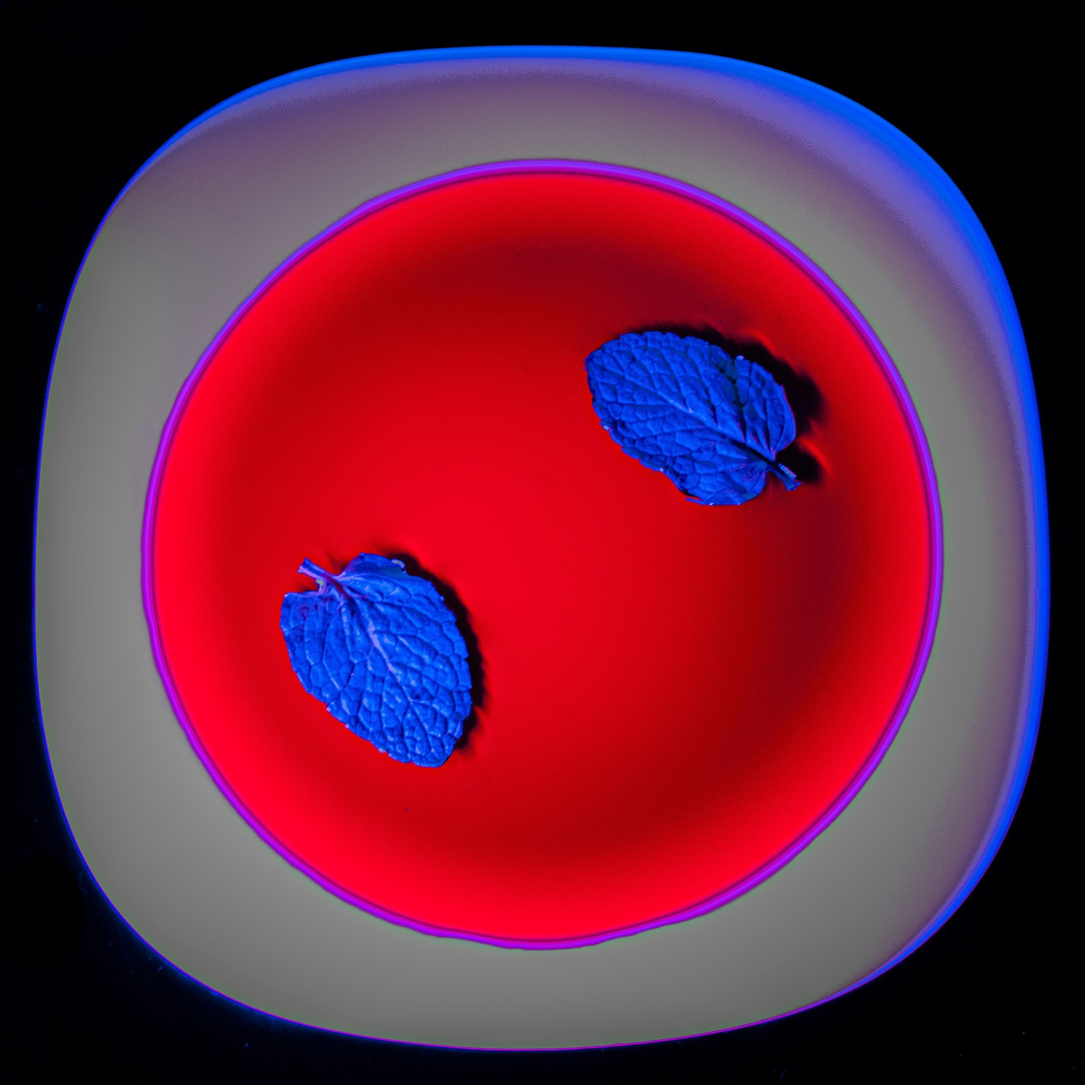 Каталожная и предметная съемка. Игорь Бобров, #второйфотографсмоленска. Фото и видео для людей и бизнеса