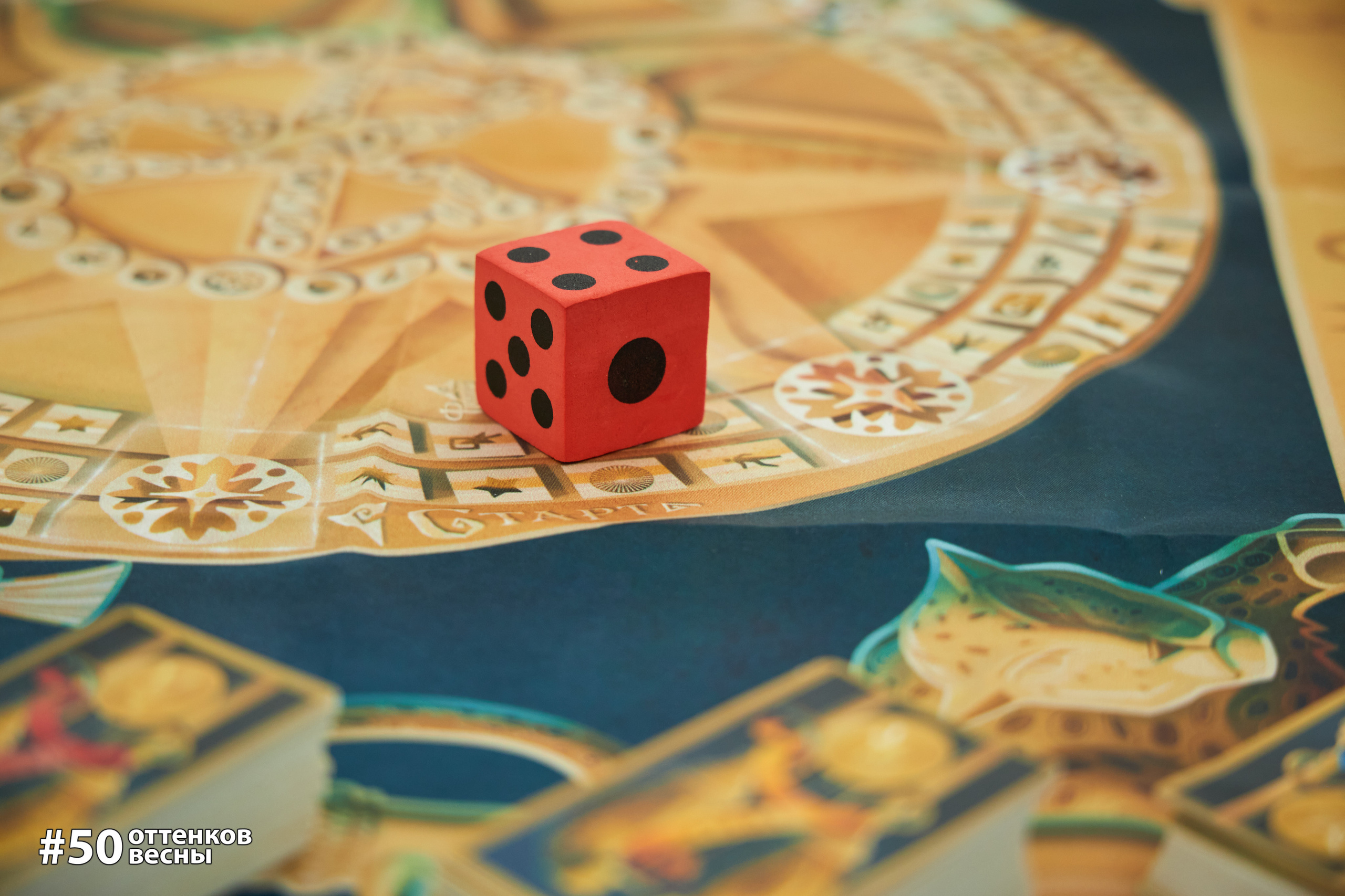 Фестиваль Трансформационных игр в Кирове. Фотограф Алексей Яковлев