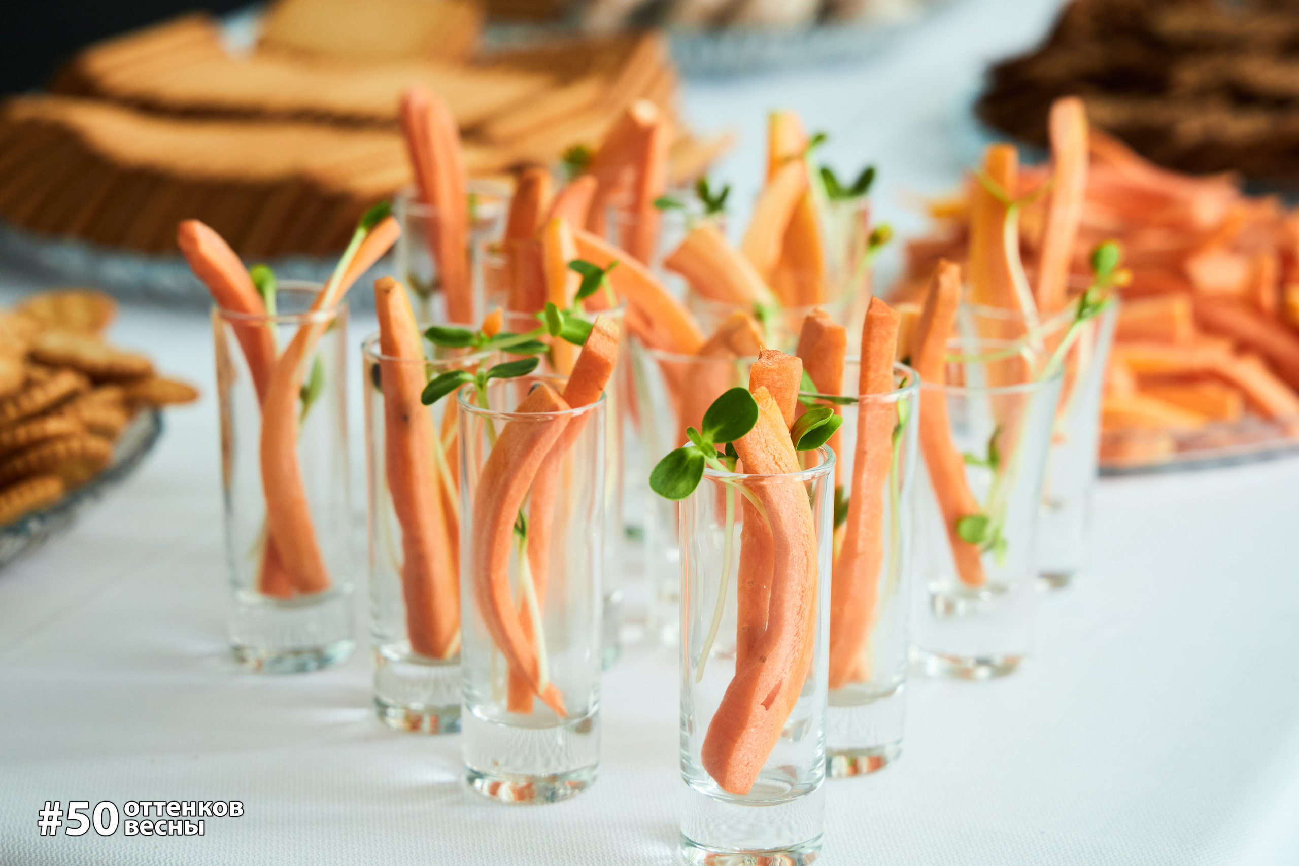 Фестиваль Трансформационных игр в Кирове. Фотограф Алексей Яковлев