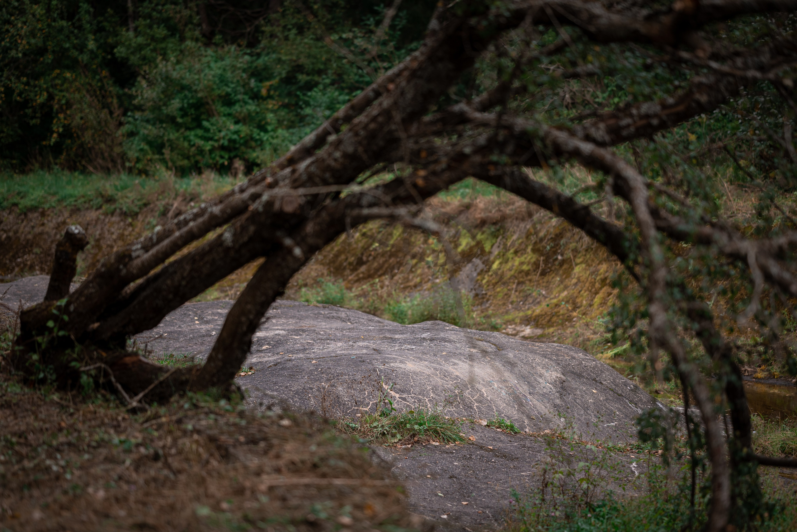 Места. Фотограф в Минске Дарья Кончакова