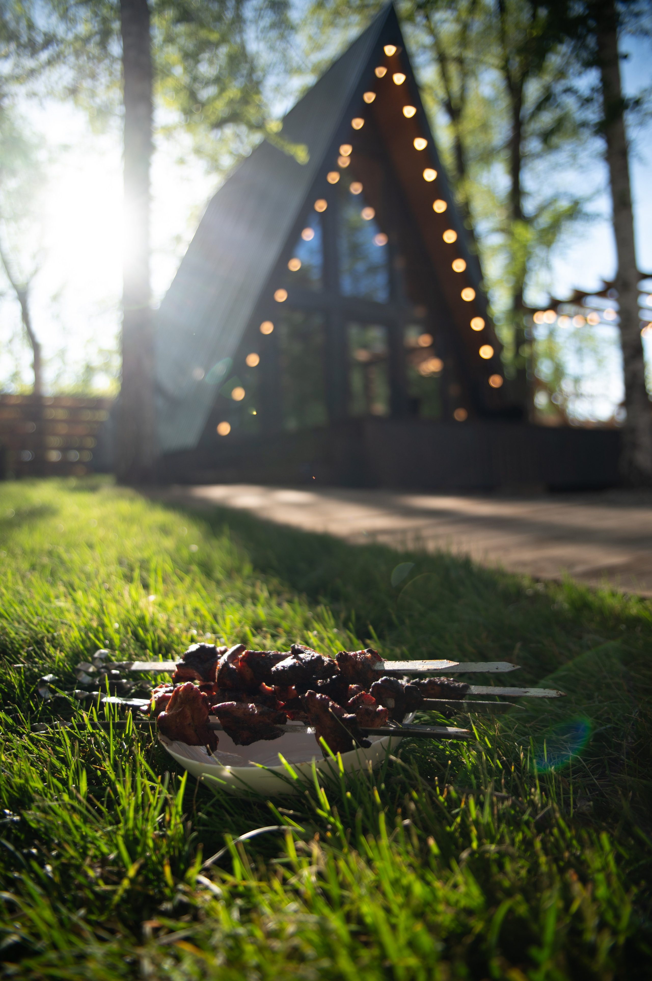 food фотограф Тимур Хабибуллин Уфа - шашлык на шампуре на зеленой лужайке на фоне а фрейм дом