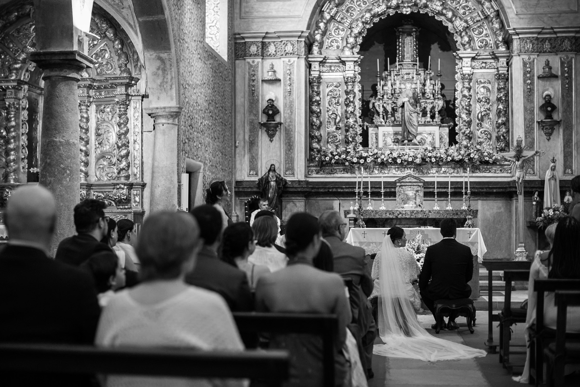 PLANT A TREE. Wedding photographer in Europe