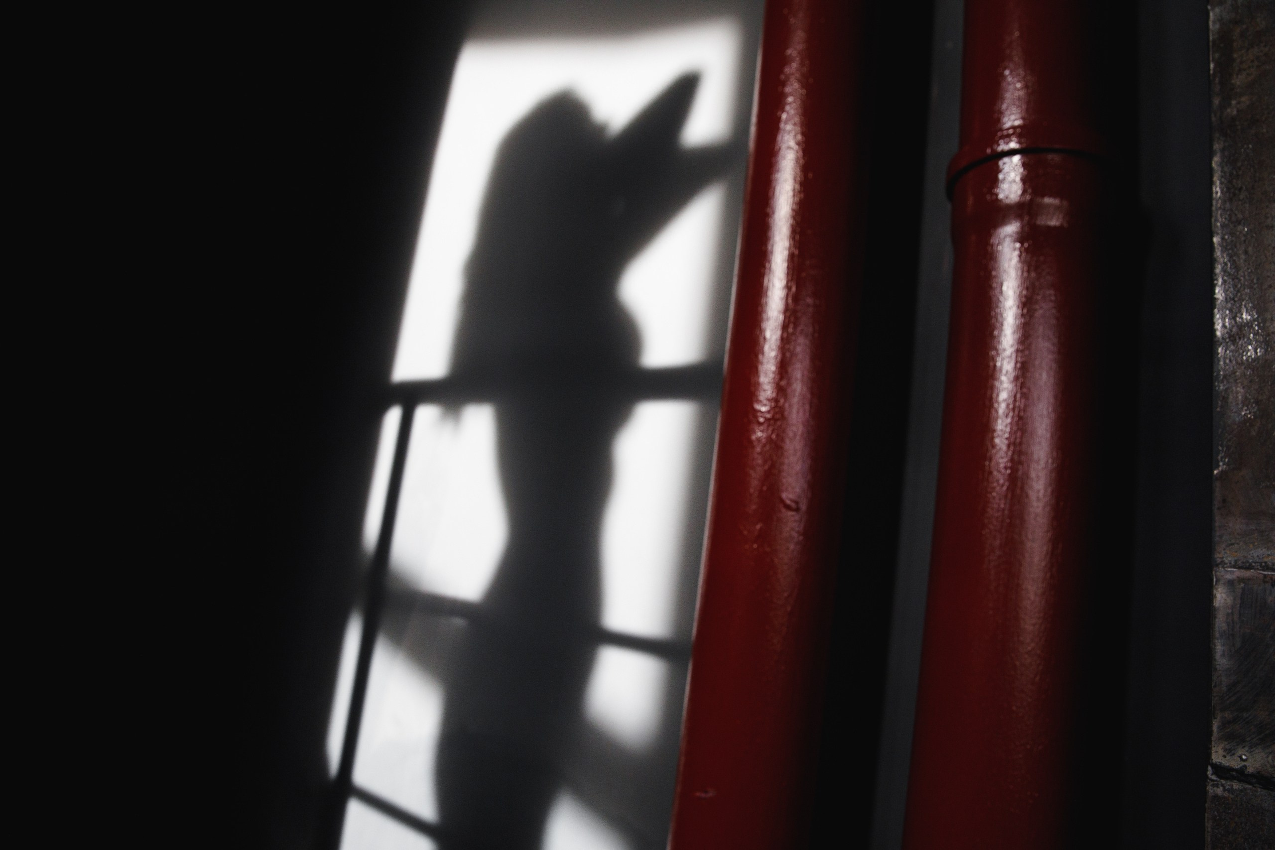 ГЕРОИ. Wedding photographer in Europe