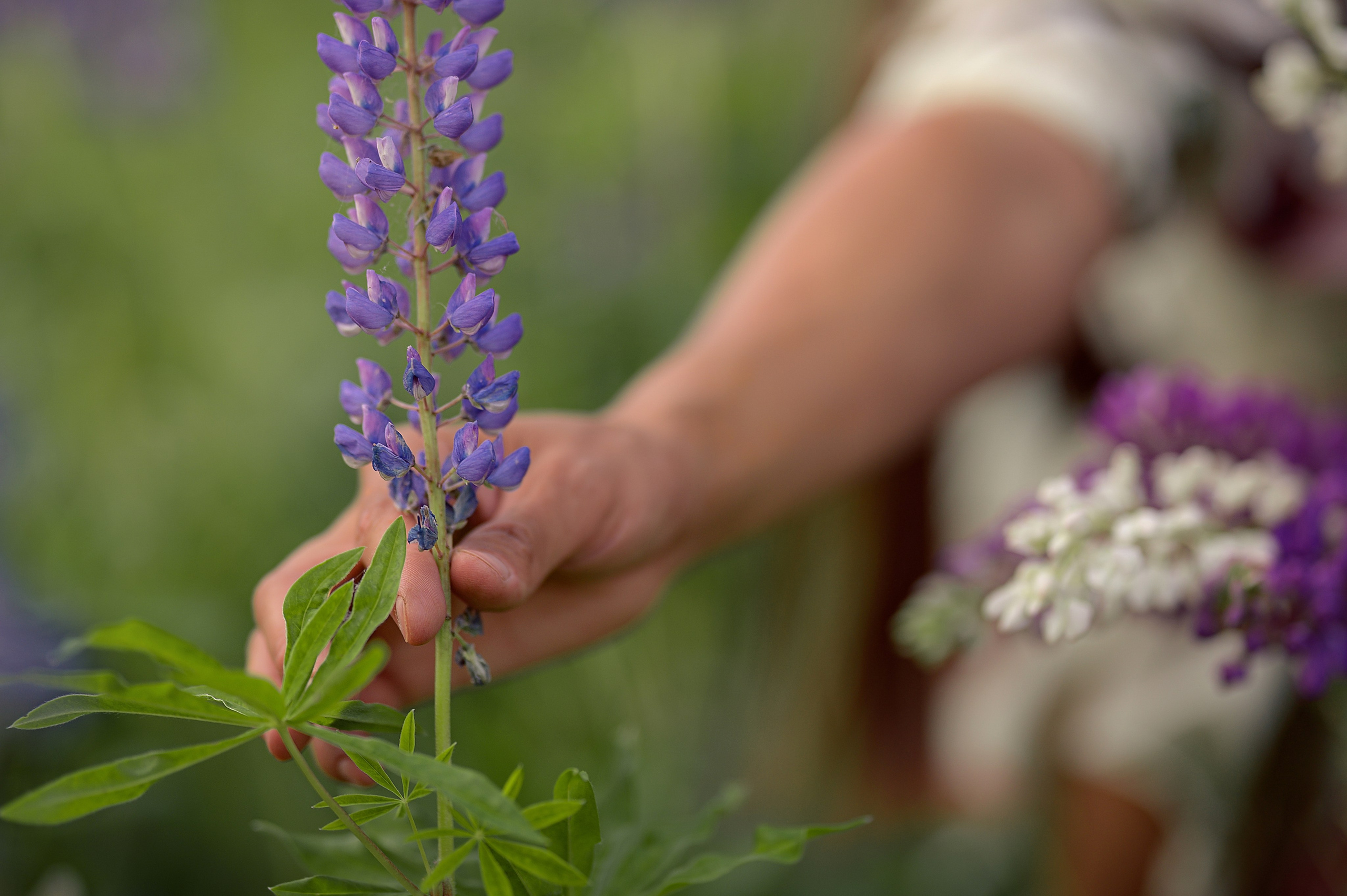 Анна. Семейный и детский фотограф в Шатках и Арзамасе Александра Магомедова