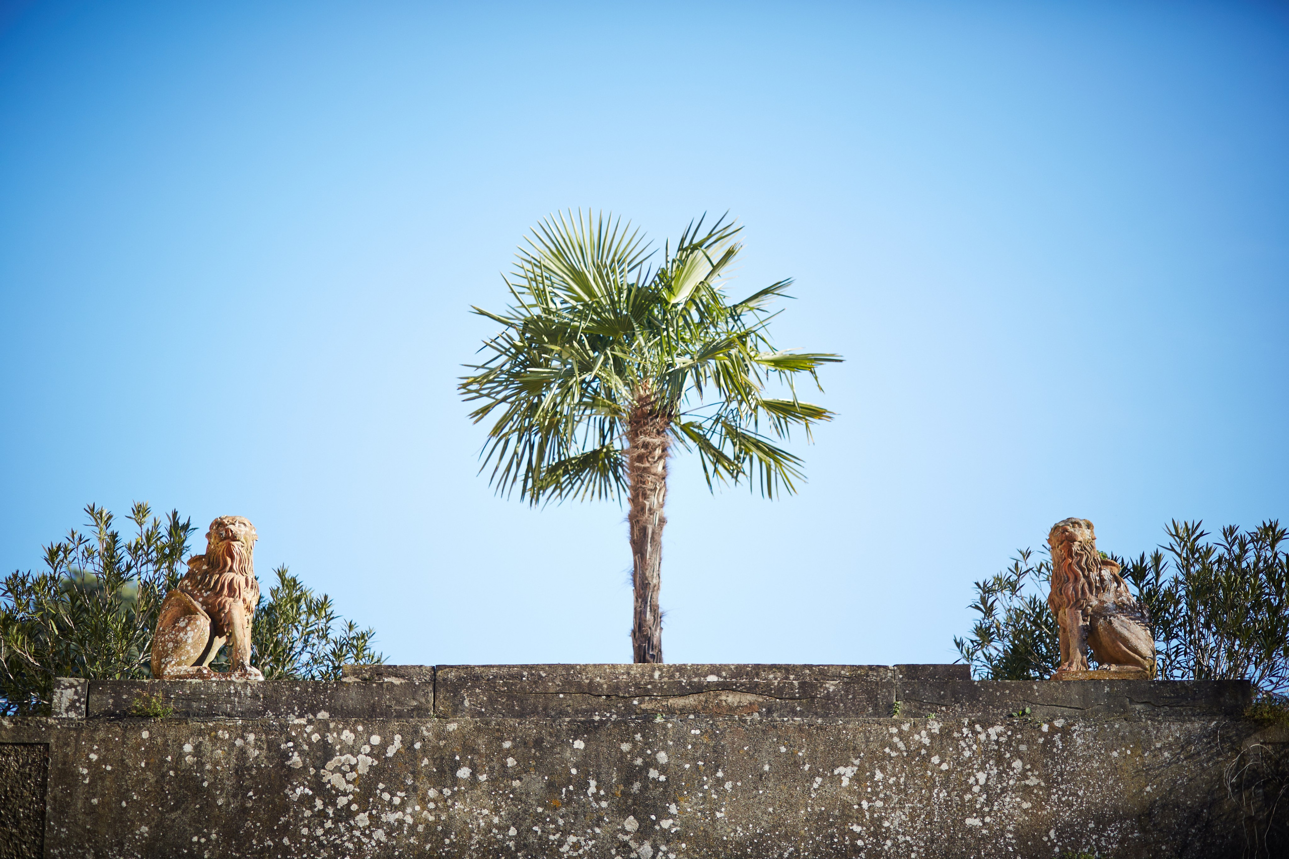 Флоренция. Рекламный коммерческий фотограф в Москве Владимир Лукьянов