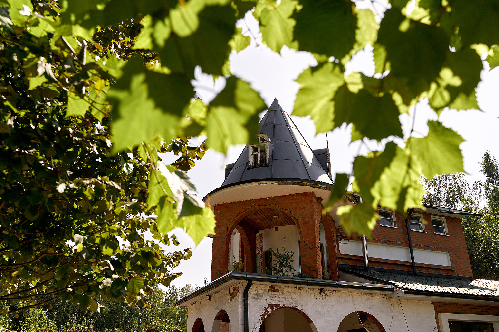Искренность на пределе возможностей и песни под гитару. Фотограф Игорь Цаплин