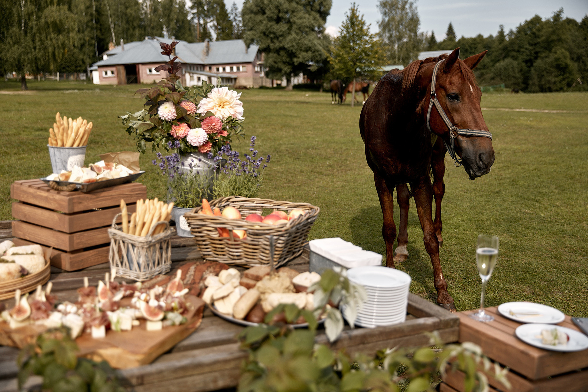 Искренность на пределе возможностей и песни под гитару. Фотограф Игорь Цаплин
