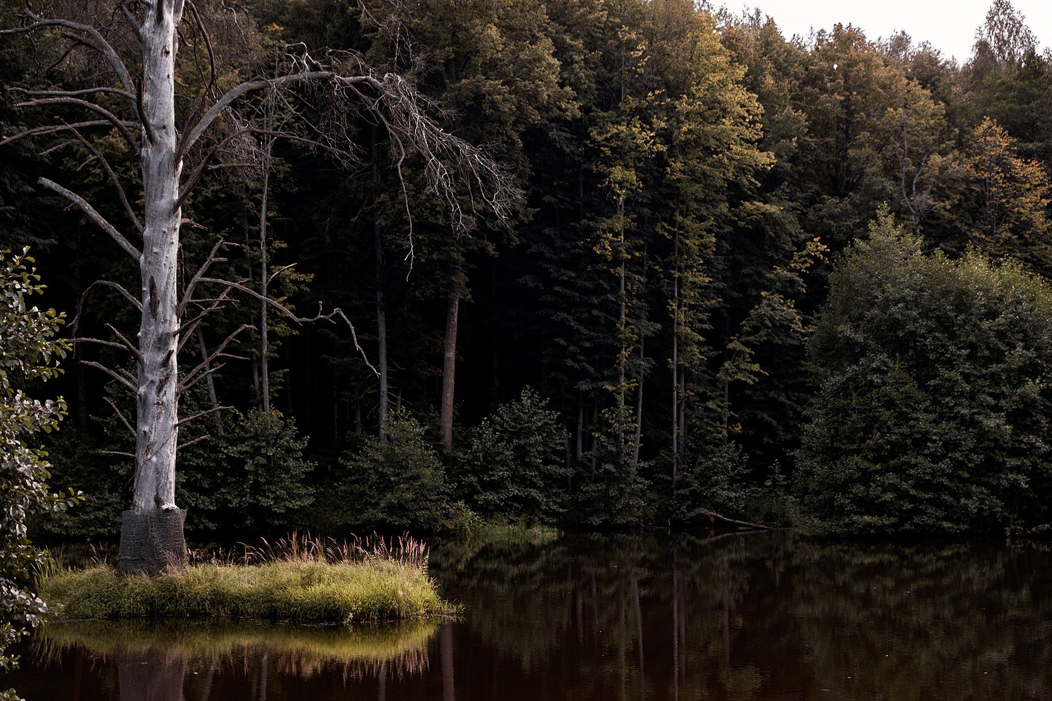 Искренность на пределе возможностей и песни под гитару. Фотограф Игорь Цаплин