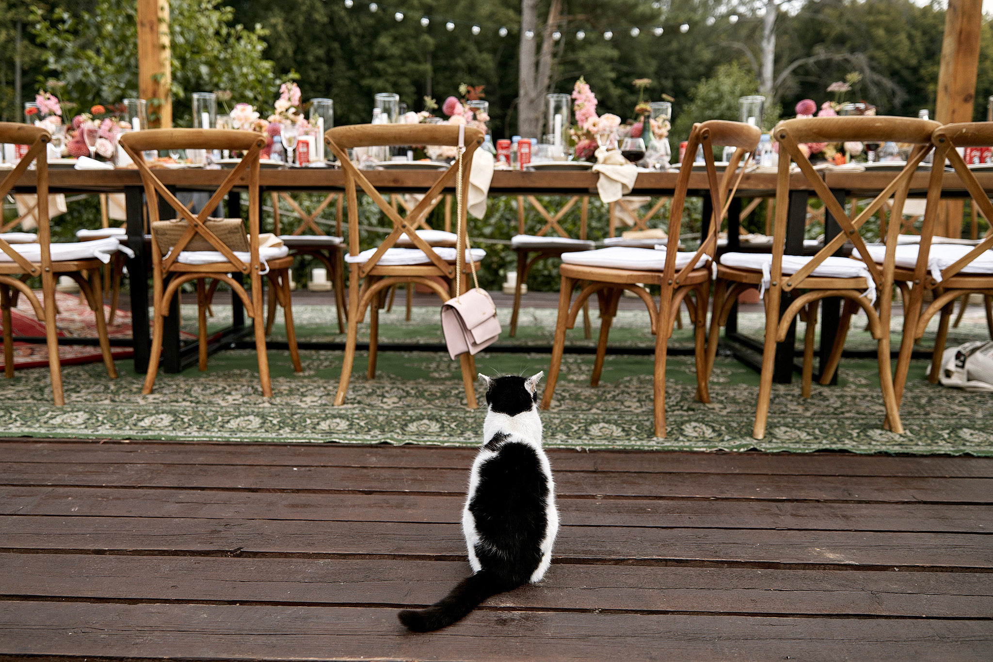 Искренность на пределе возможностей и песни под гитару. Фотограф Игорь Цаплин