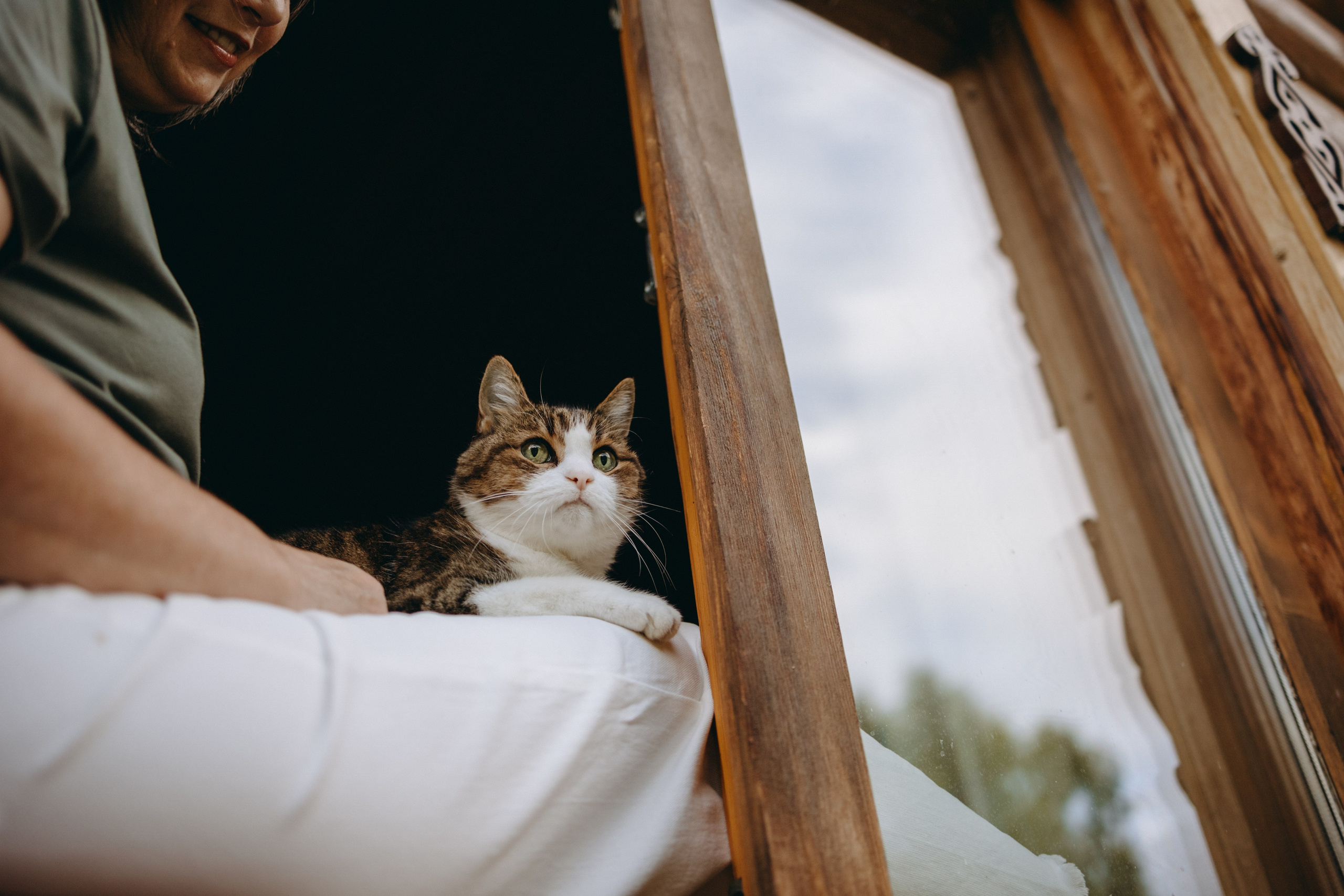 Дом у реки. Фотограф — Анималист | Санкт-Петербург
