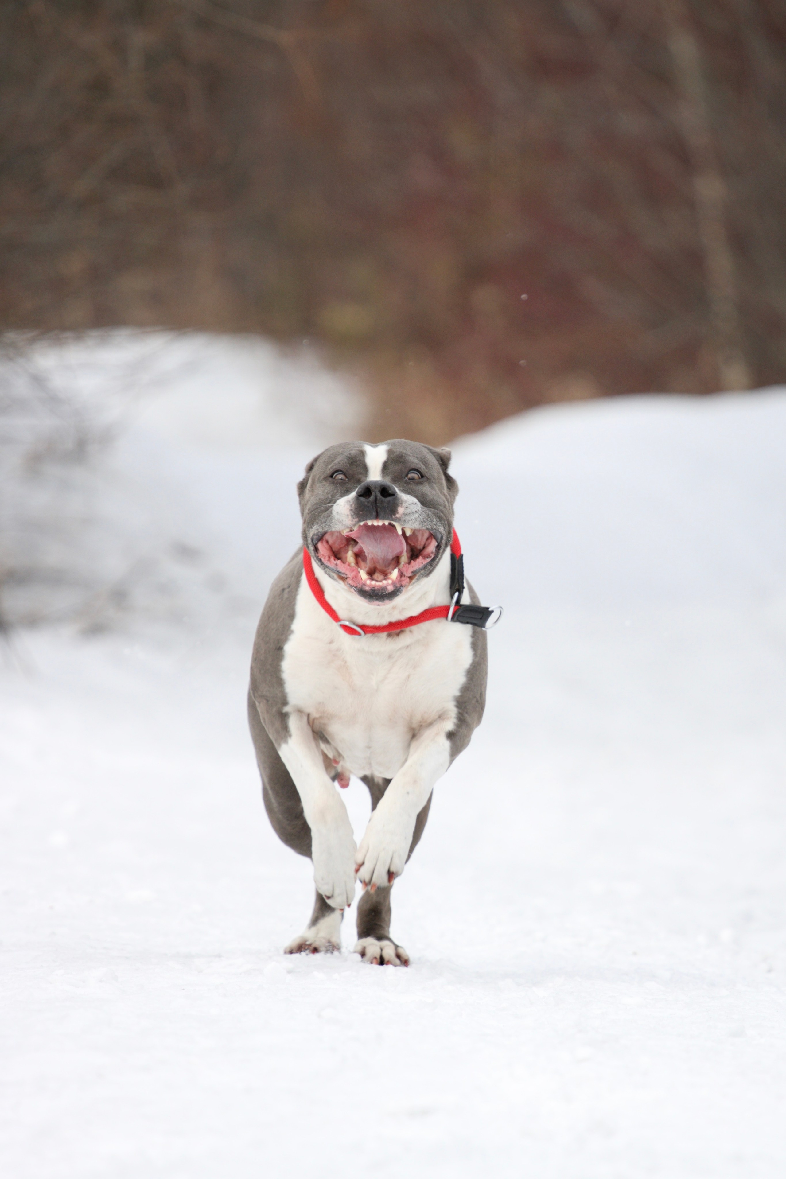 Отзывы. Фотограф Анастасия Ветковская, Москва