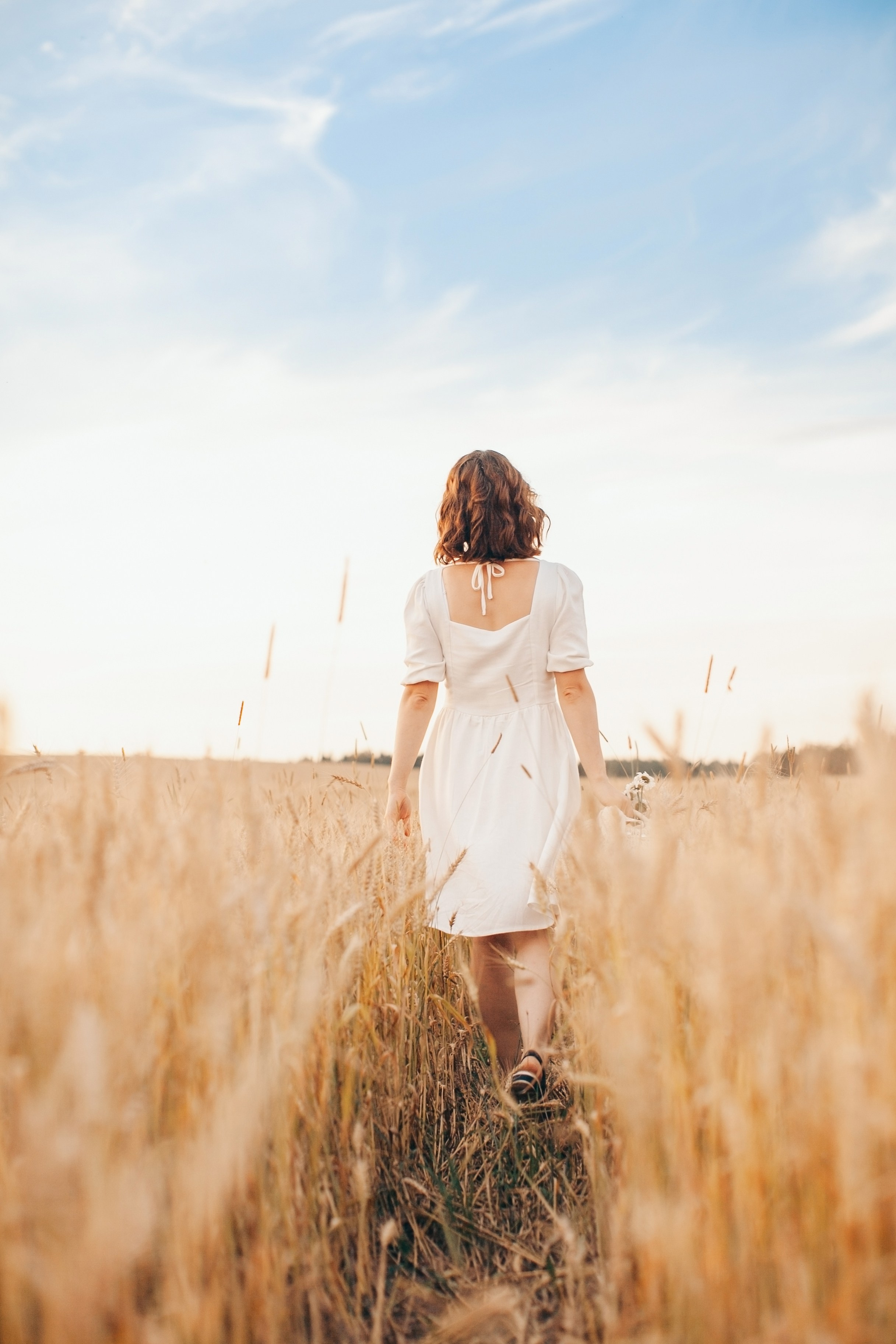 Семейная фотосессия в поле на закате. Фотограф Ольга Ефремова