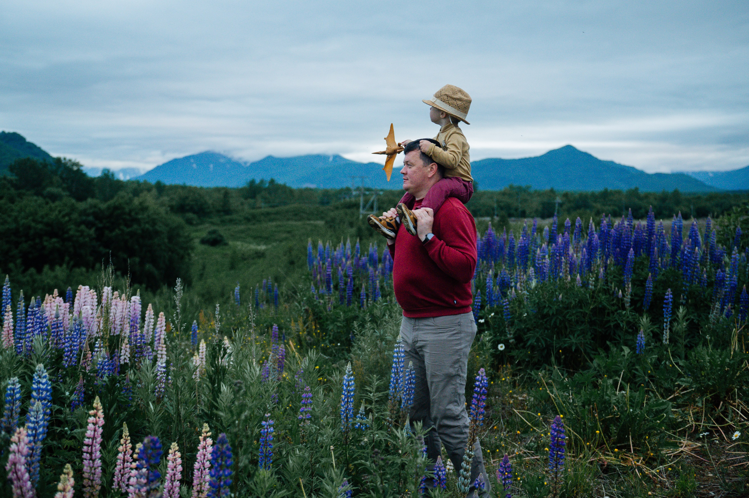Прогулка в люпиновых полях. Свадебный и семейный фотограф Камчатка. Фотограф Камчатка