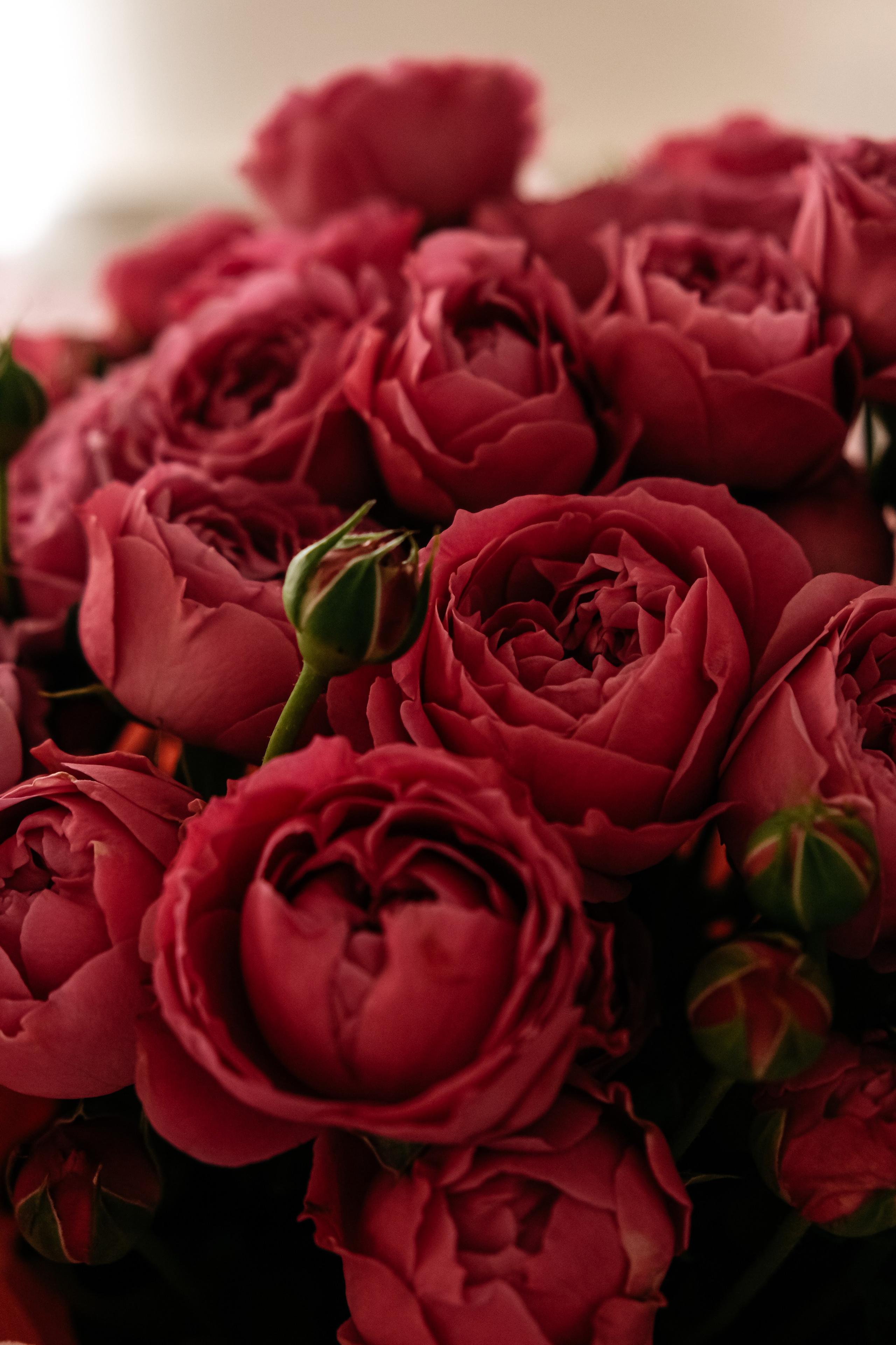 Константин и Полина. Свадебный фотограф Челябинск