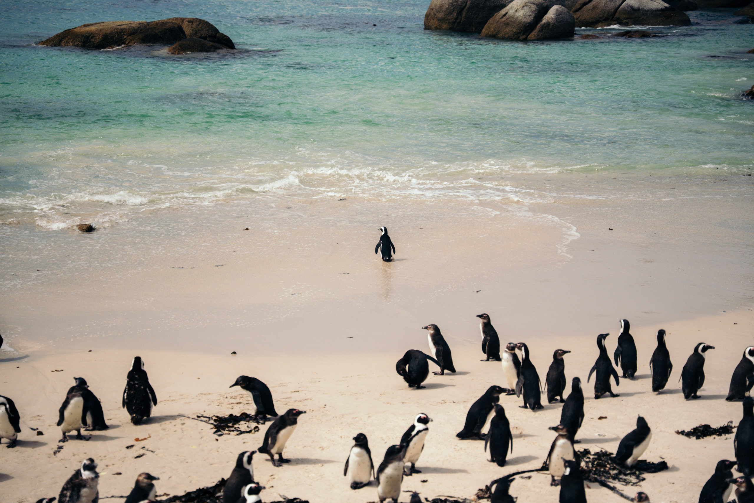 Africa/UAR. @oljiofilm: Олег Иванов — фотограф