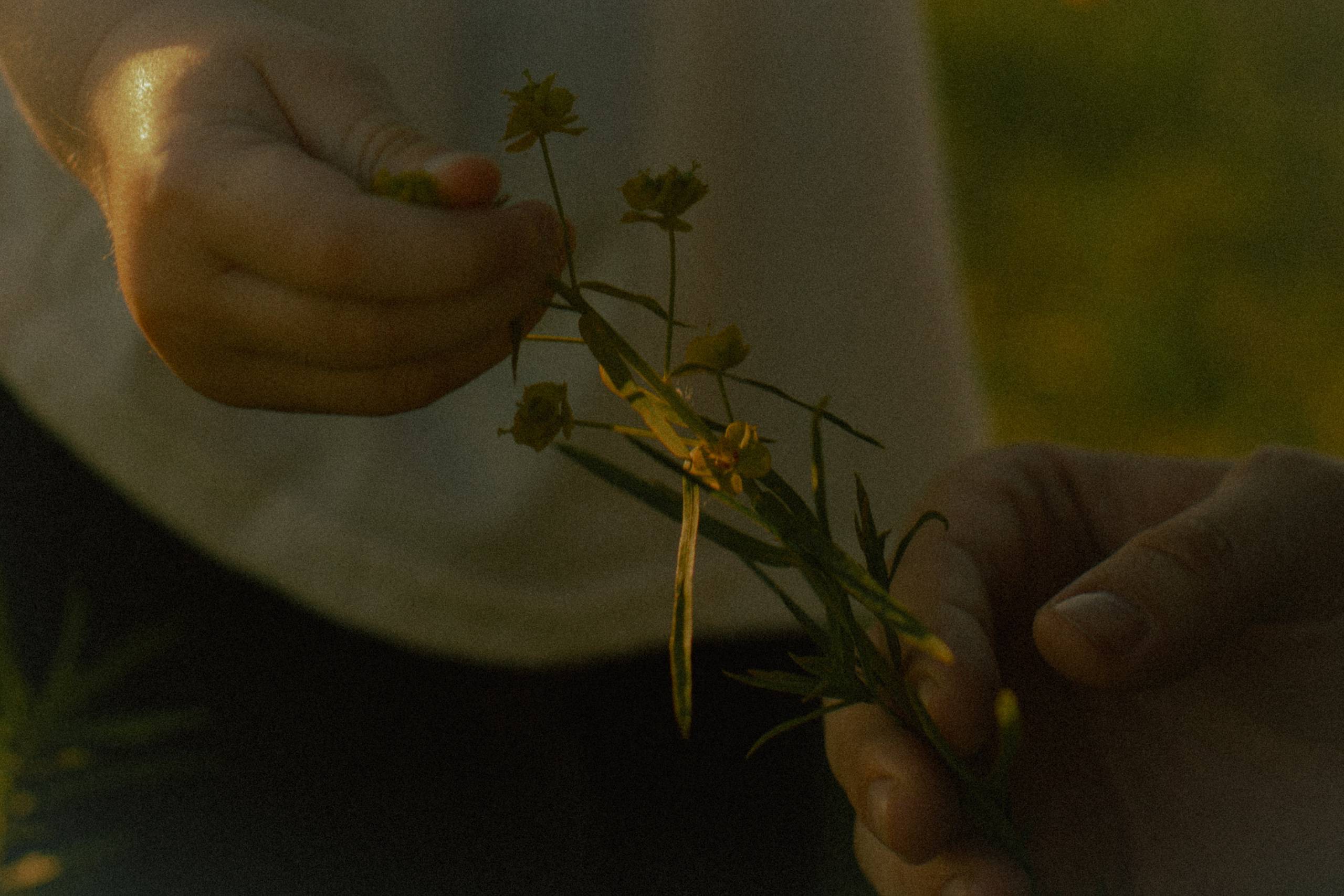Семейные съемки. Главная