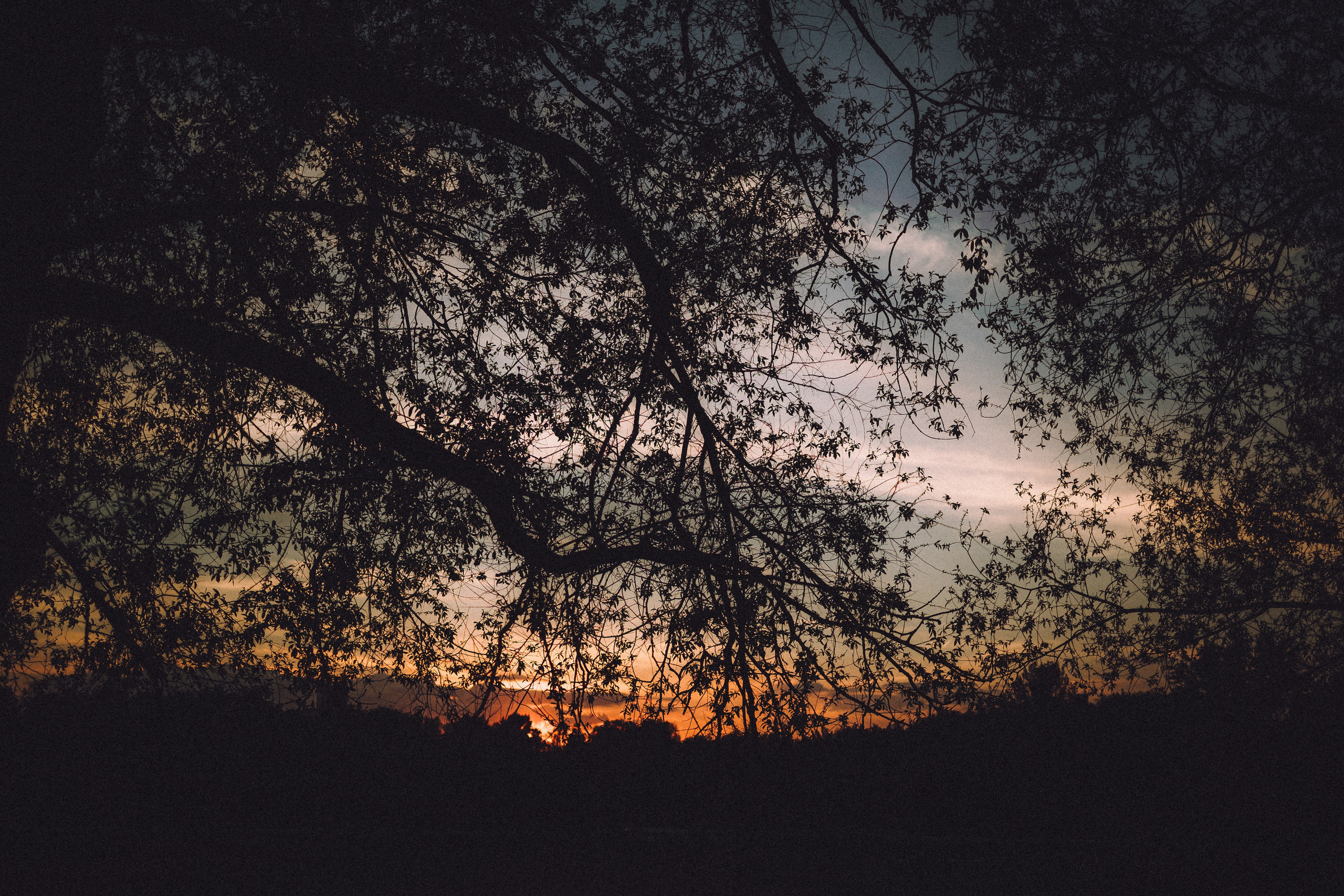 Илай, Зайка и их семья