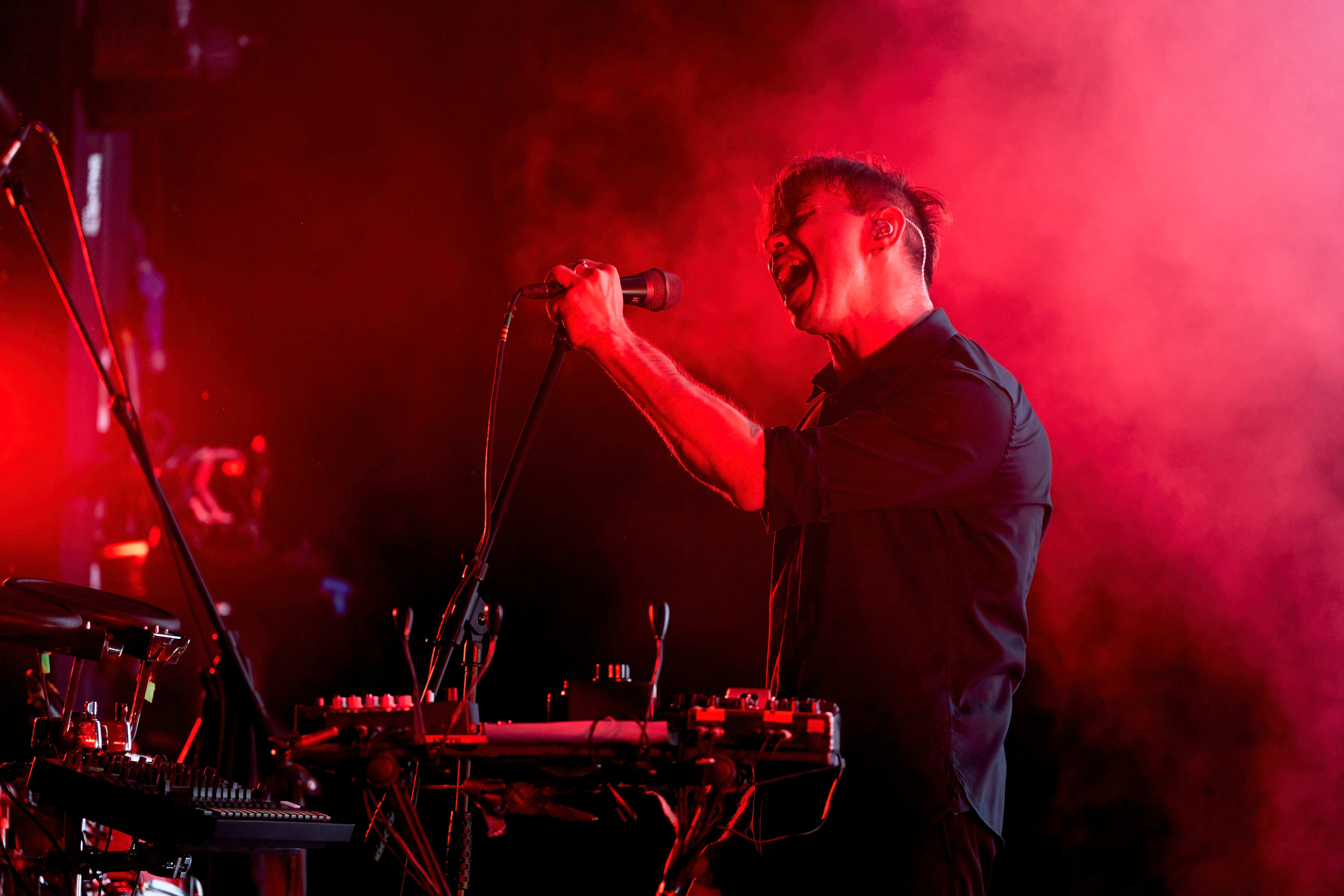 ДЕЛЬФИН / ЗЕЛЕНЫЙ ТЕАТР / 09.06.2024. Ekhovanov | фото- видеосъемка