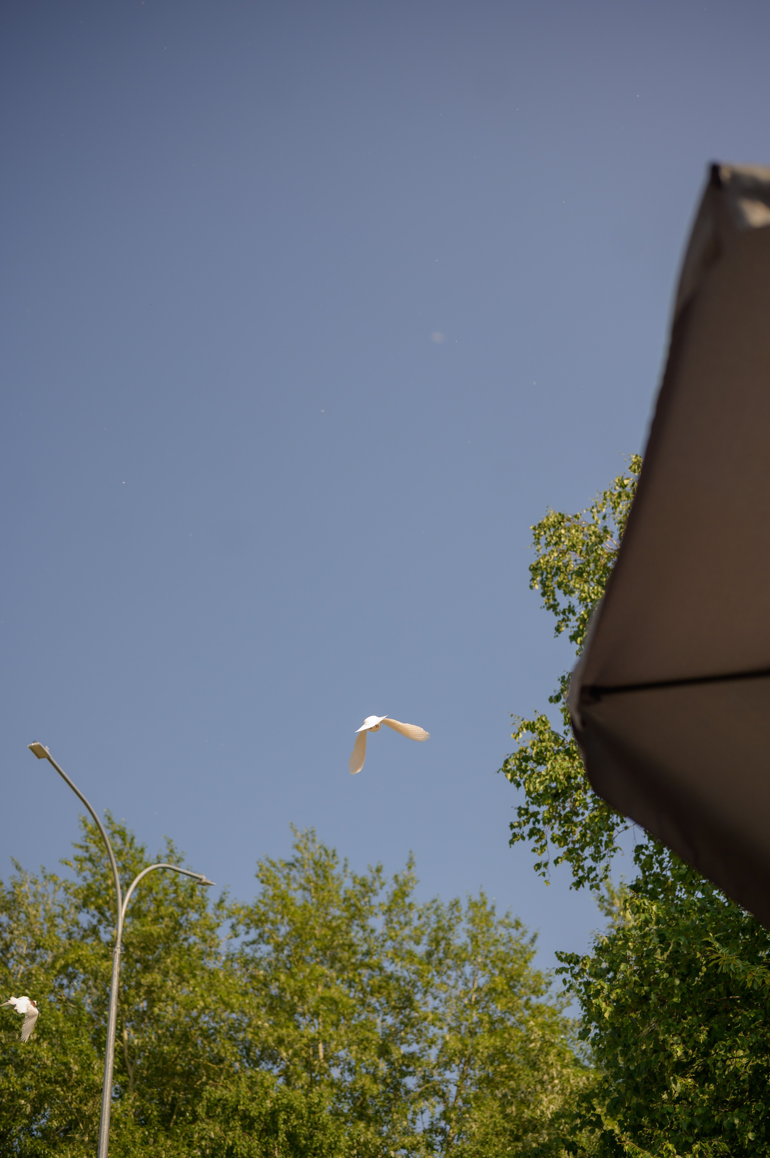 Репортаж выпускного группа «Фантазёры» 3 садик. Фотограф новорожденных, семейный детский в Тюмени Татьяна Морозова