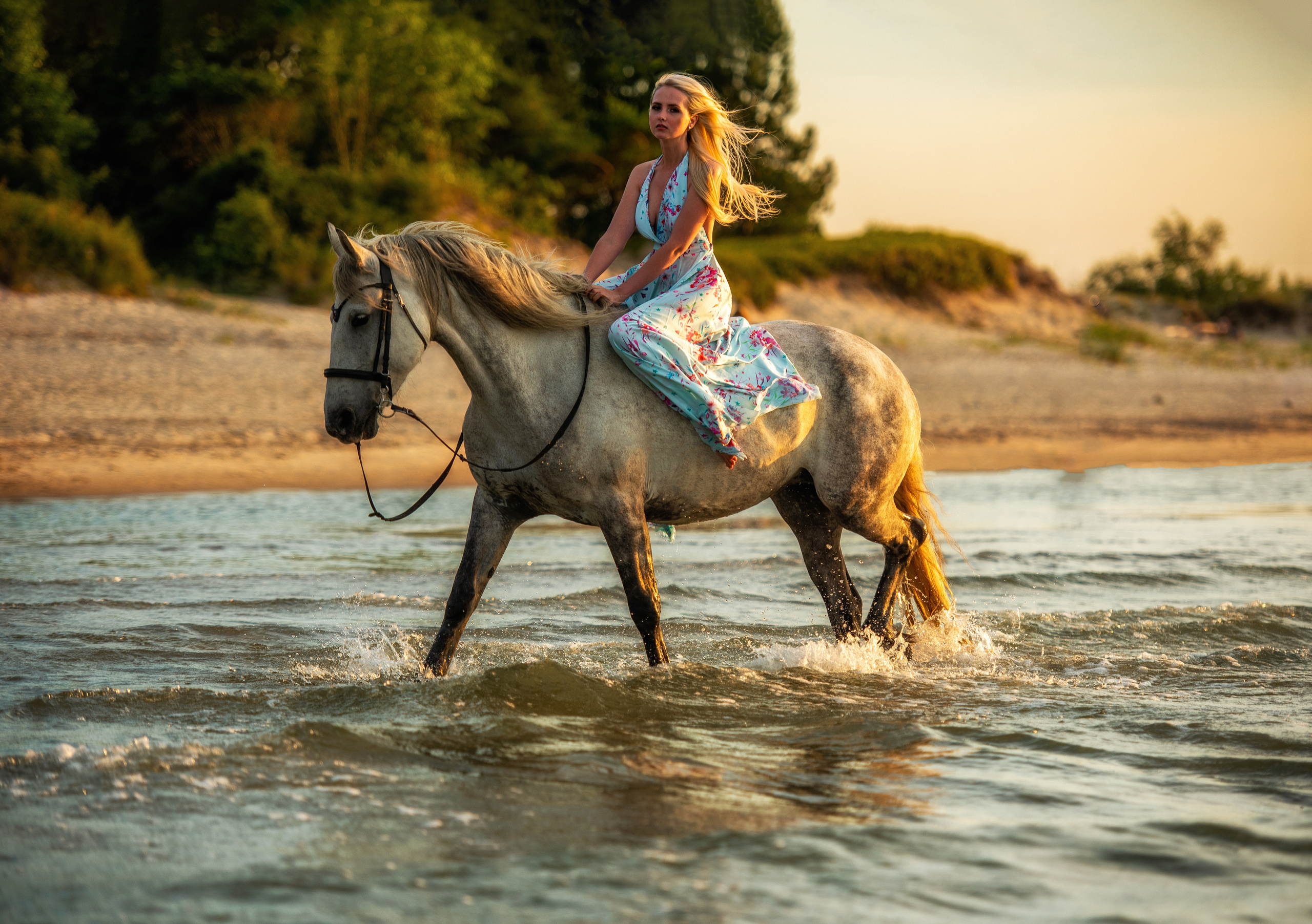 Побережье Балтийского моря. Фотограф с лошадьми в Калининграде Татьяна Ларина