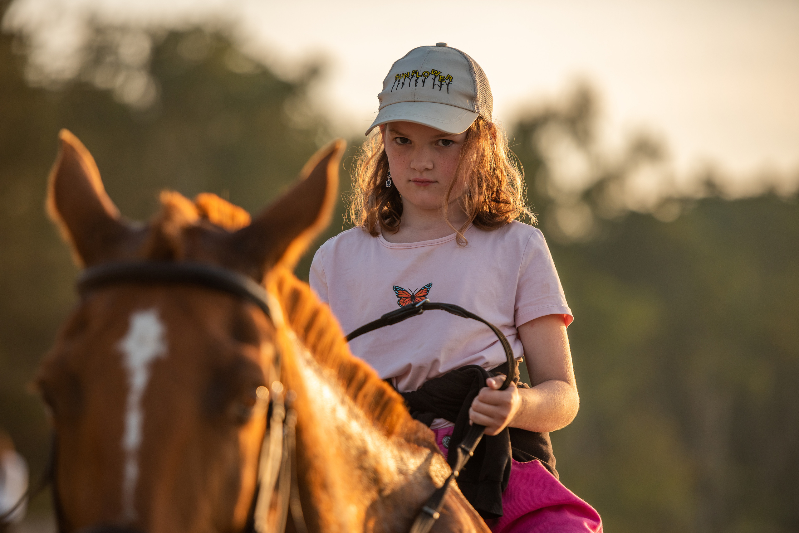 Отзывы. Фотограф с лошадьми в Калининграде Татьяна Ларина