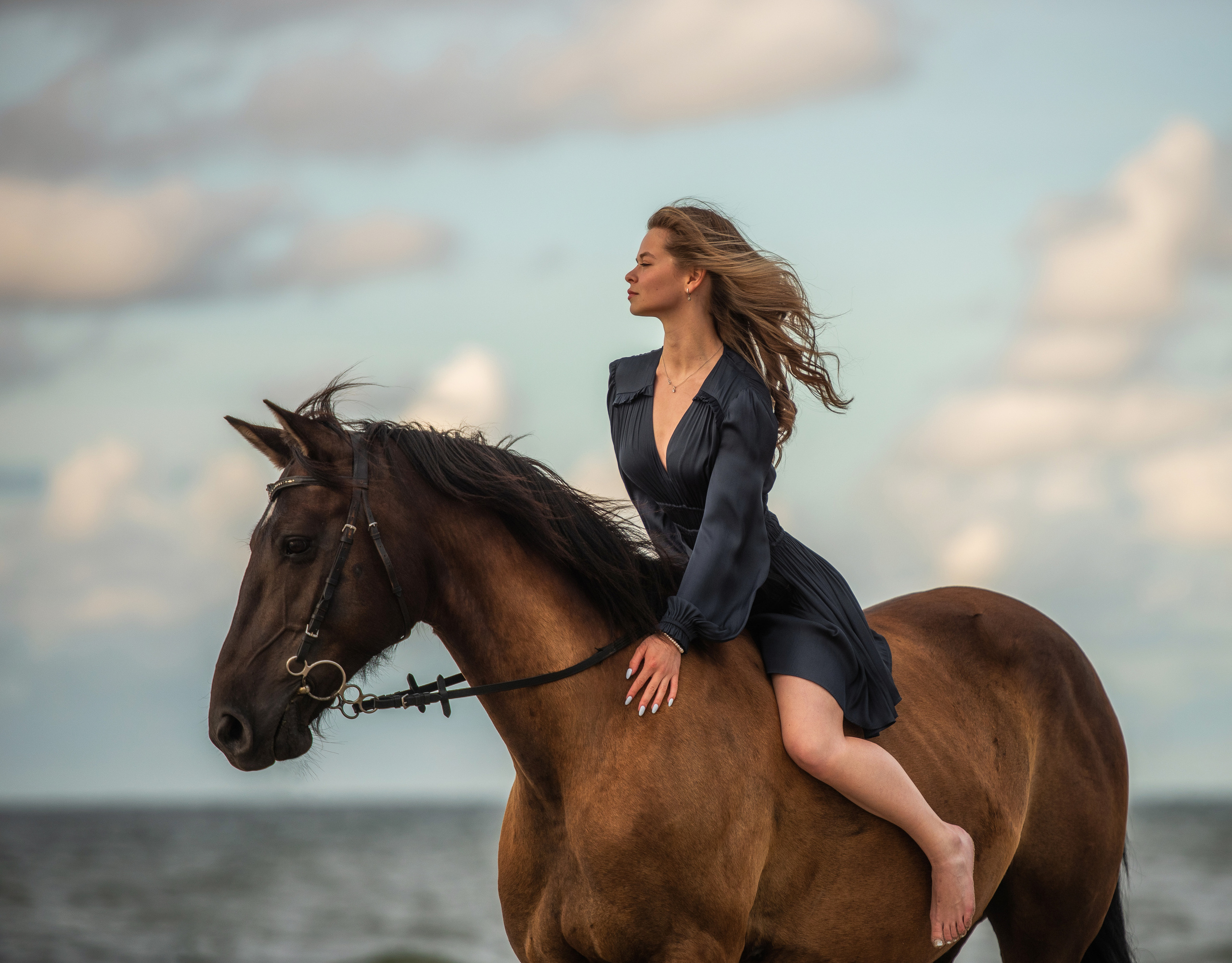 Побережье Балтийского моря. Фотограф с лошадьми в Калининграде Татьяна Ларина