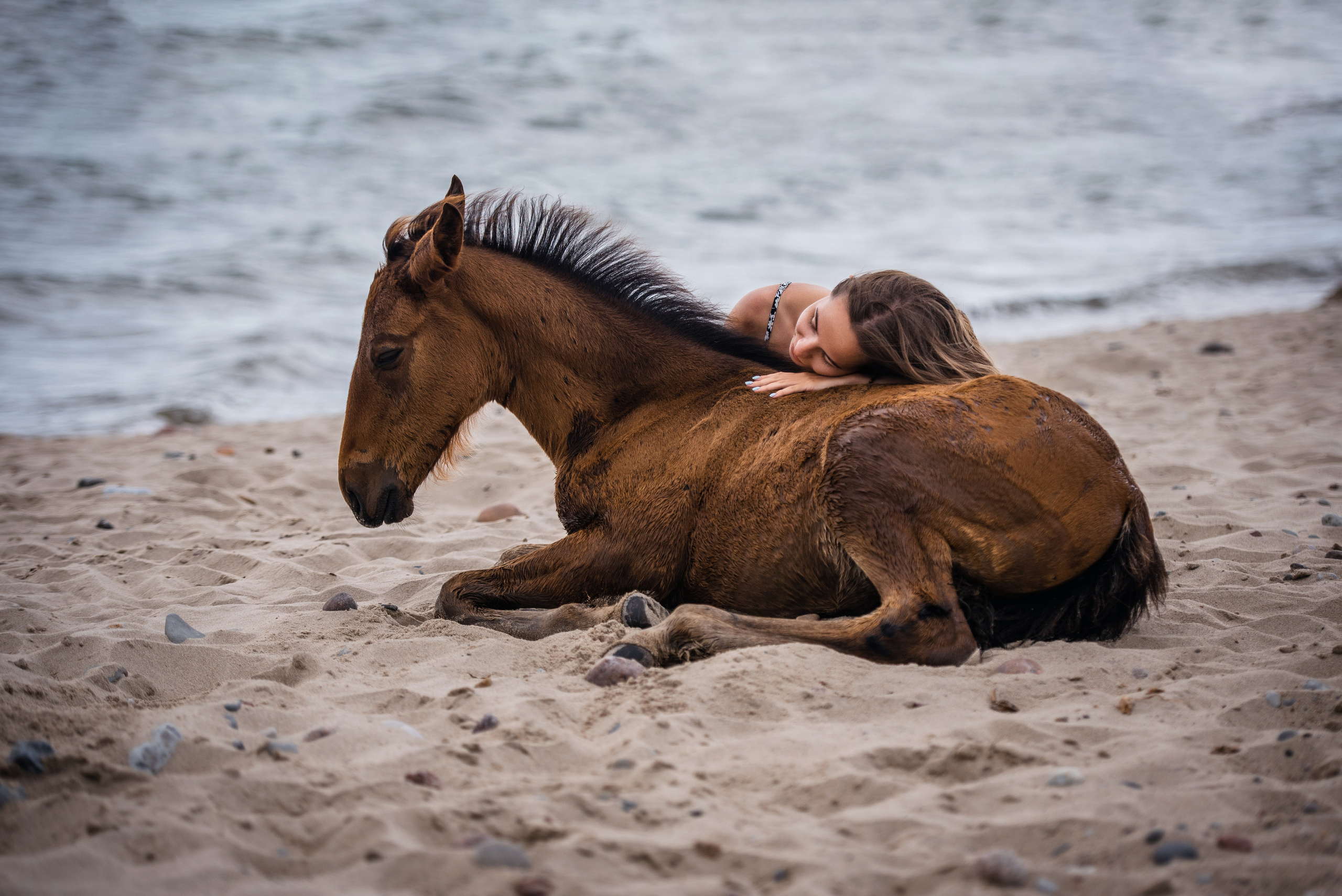 Побережье Балтийского моря. Фотограф с лошадьми в Калининграде Татьяна Ларина