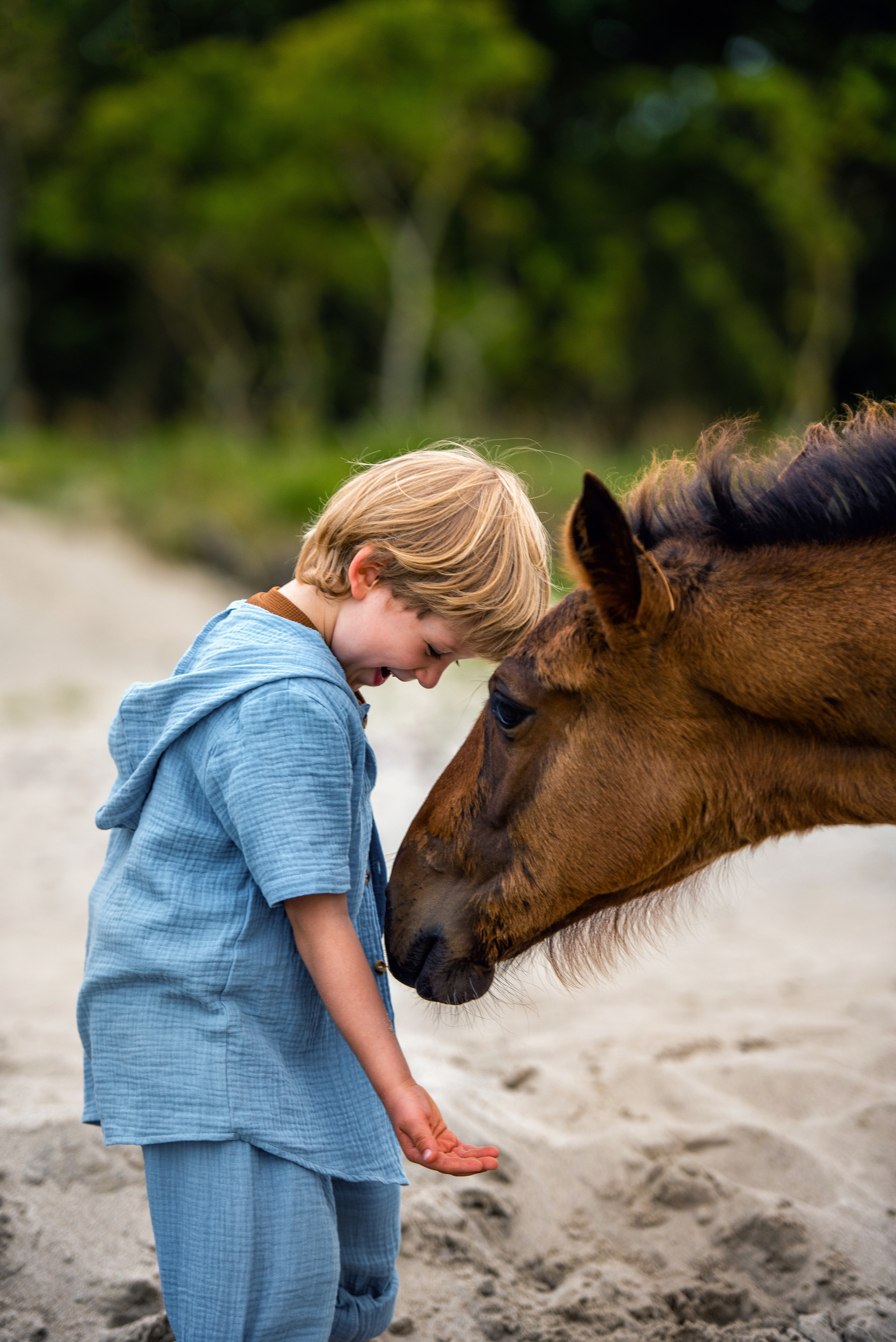 Детские и семейные. Фотограф с лошадьми в Калининграде Татьяна Ларина