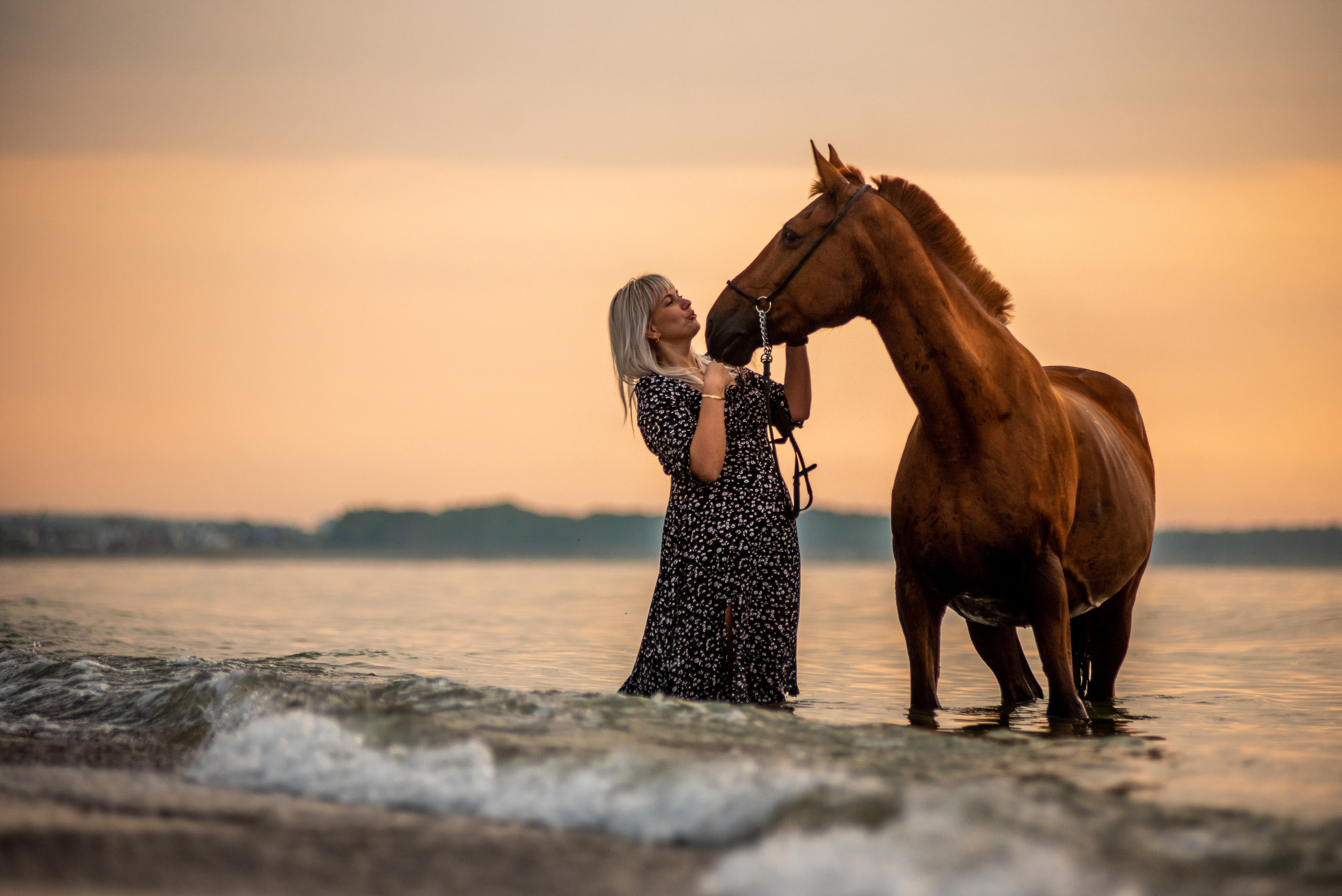 Фотограф с лошадьми в Калининграде Татьяна Ларина