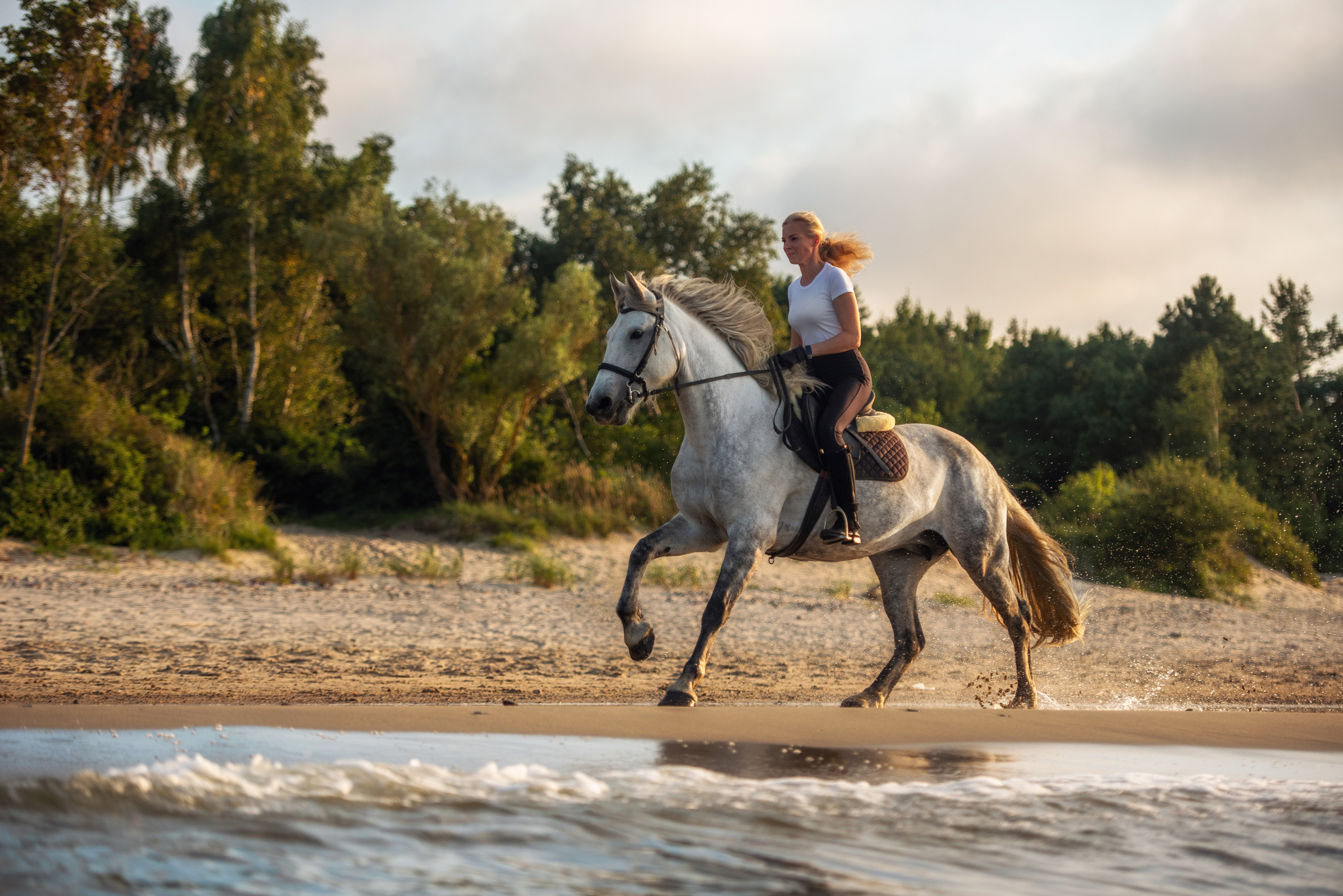 Побережье Балтийского моря. Фотограф с лошадьми в Калининграде Татьяна Ларина