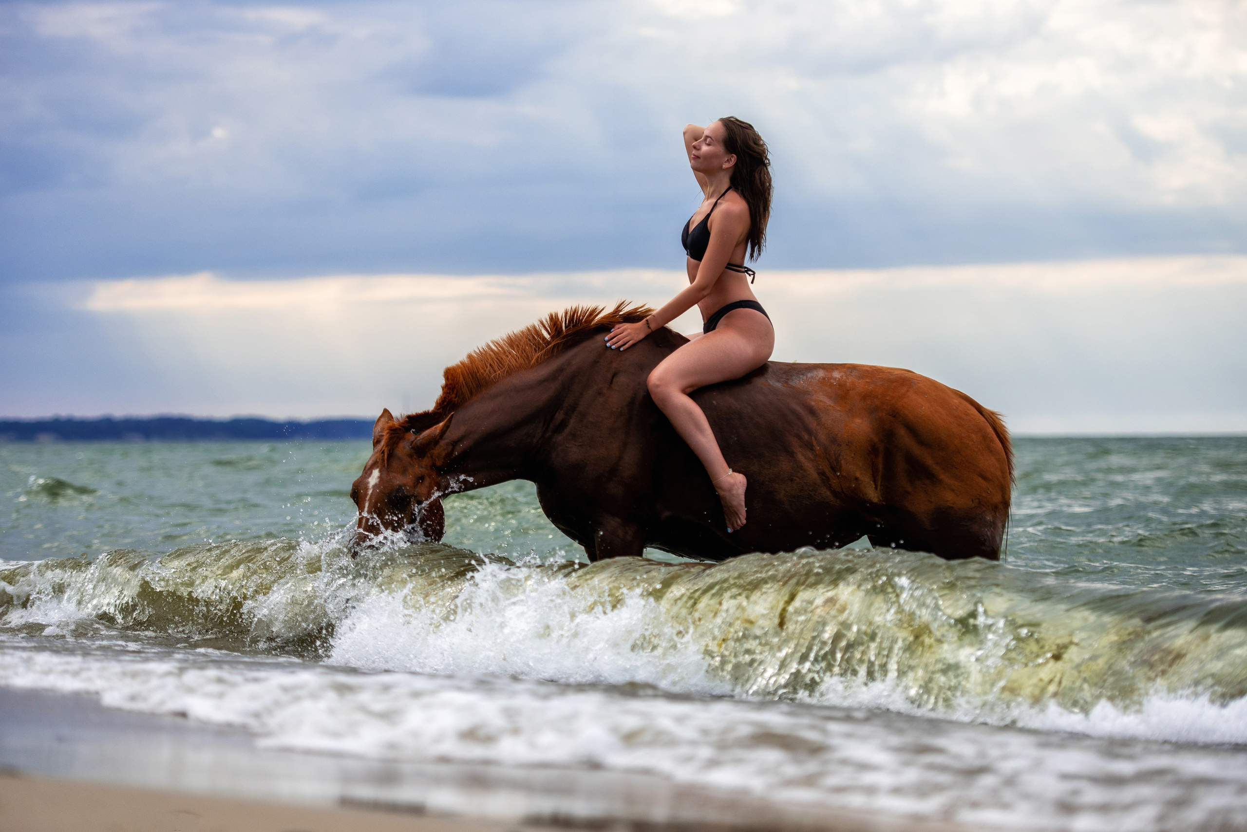 Фотограф с лошадьми в Калининграде Татьяна Ларина
