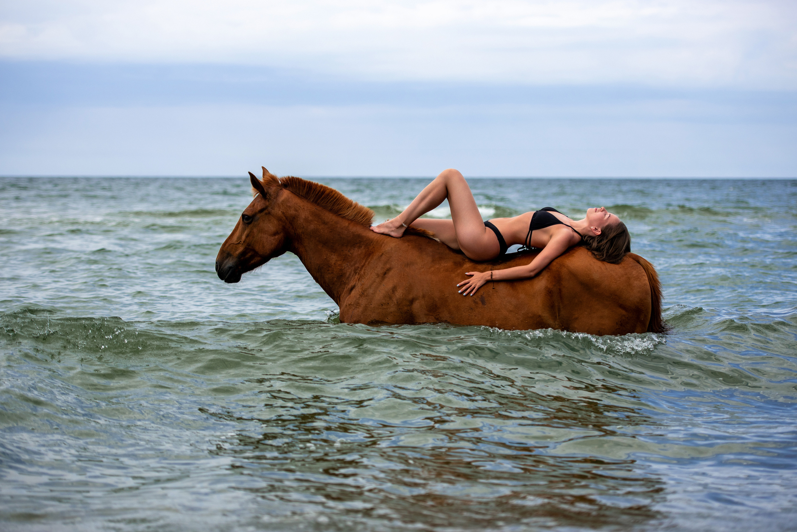 Побережье Балтийского моря. Фотограф с лошадьми в Калининграде Татьяна Ларина