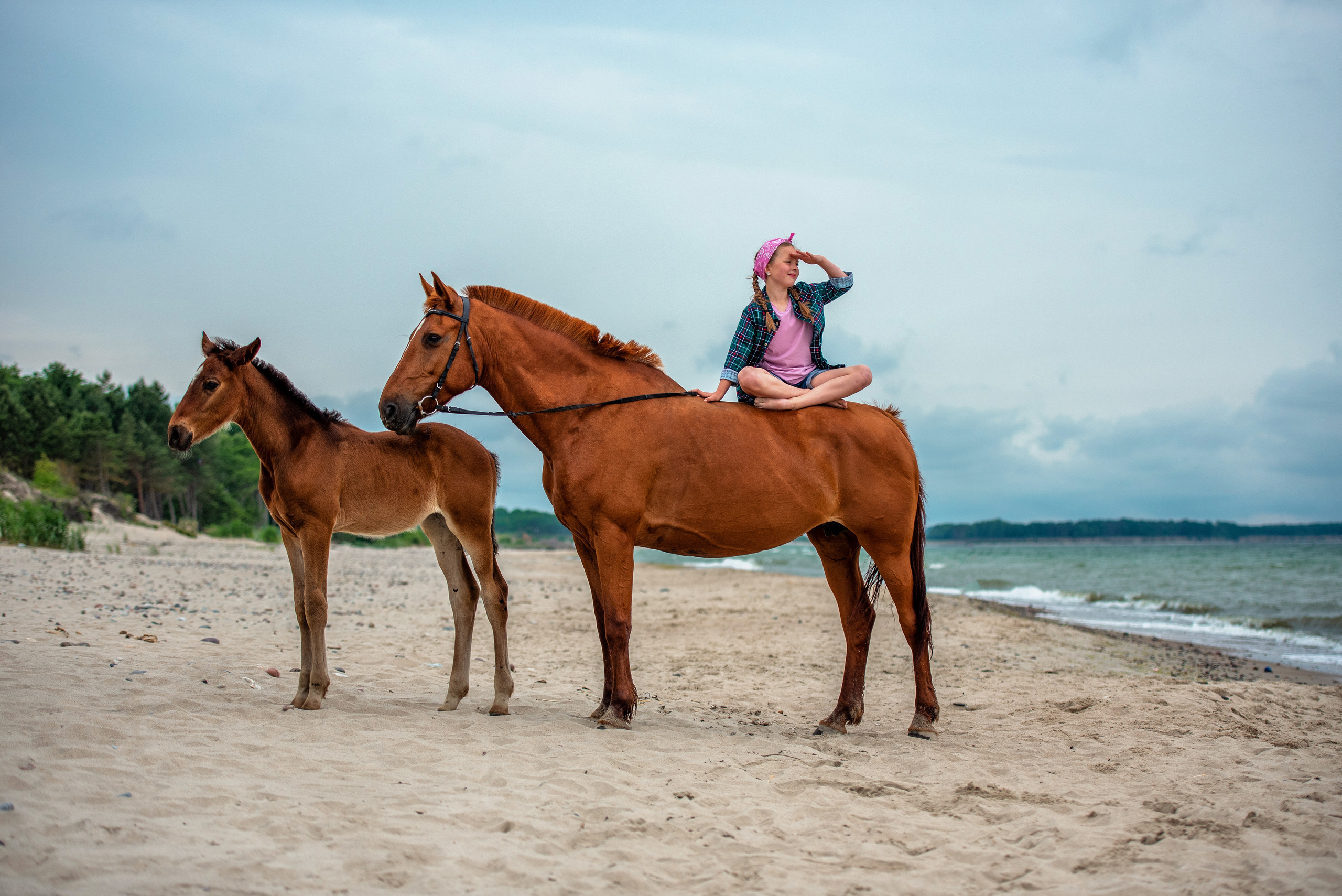 Детские и семейные. Фотограф с лошадьми в Калининграде Татьяна Ларина