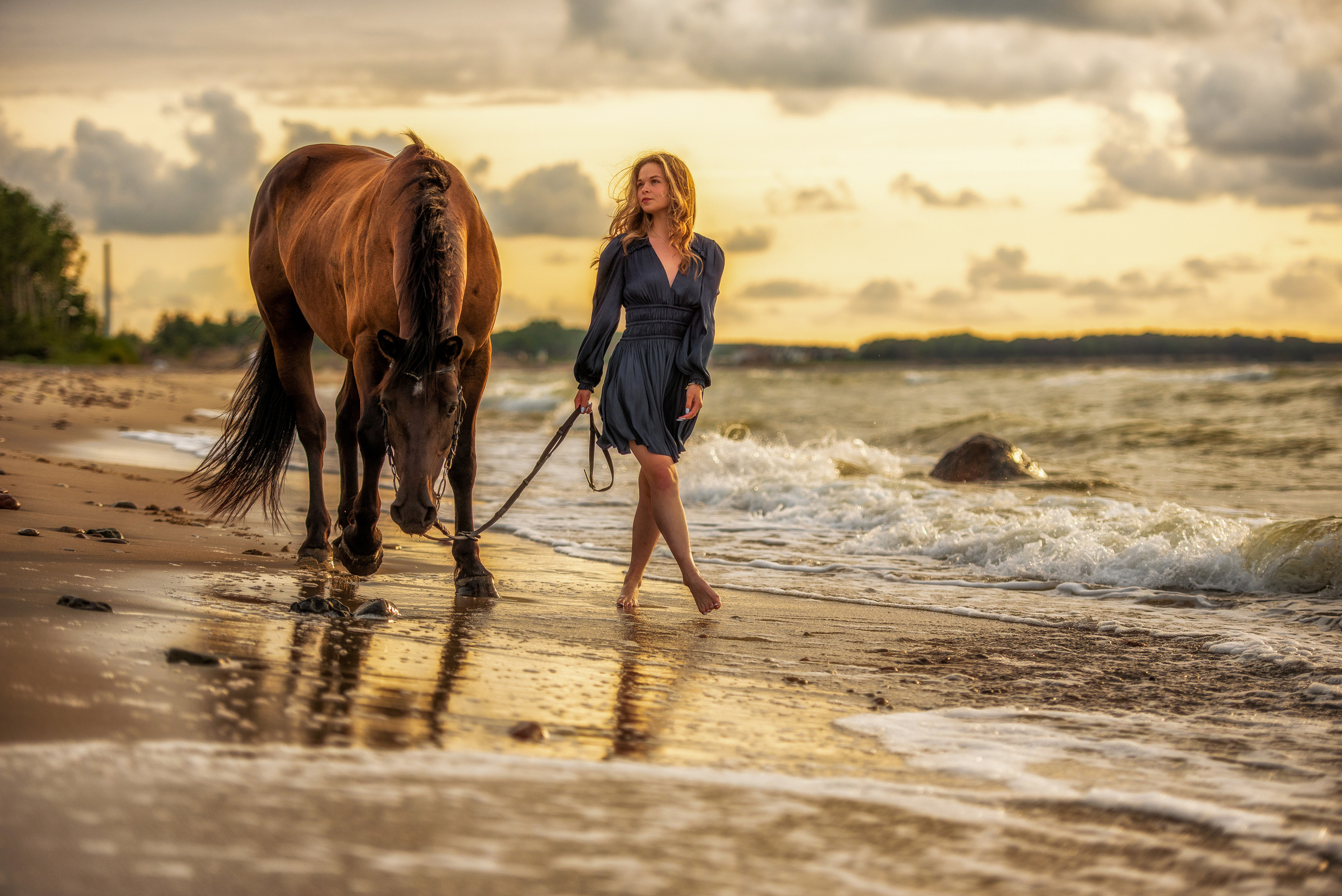 Побережье Балтийского моря. Фотограф с лошадьми в Калининграде Татьяна Ларина