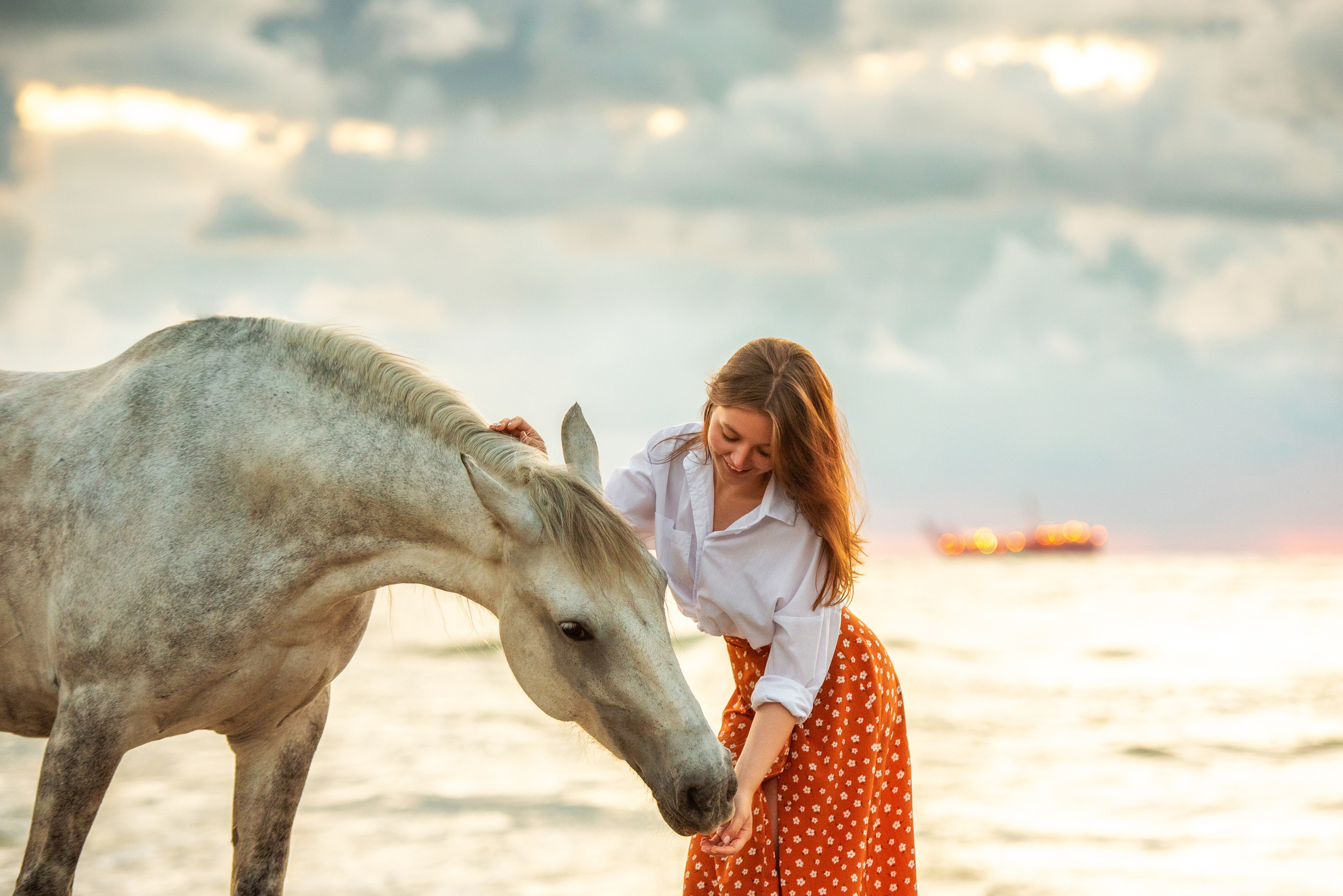 Побережье Балтийского моря. Фотограф с лошадьми в Калининграде Татьяна Ларина