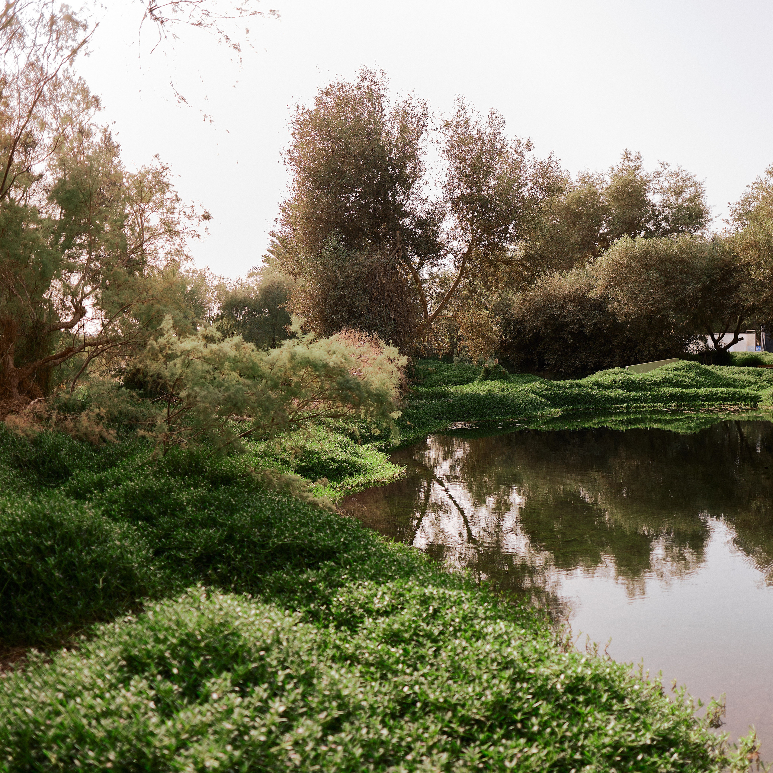 Другое 2. Jorgis Talè — photographer, kind person, teacher of arts and other mag