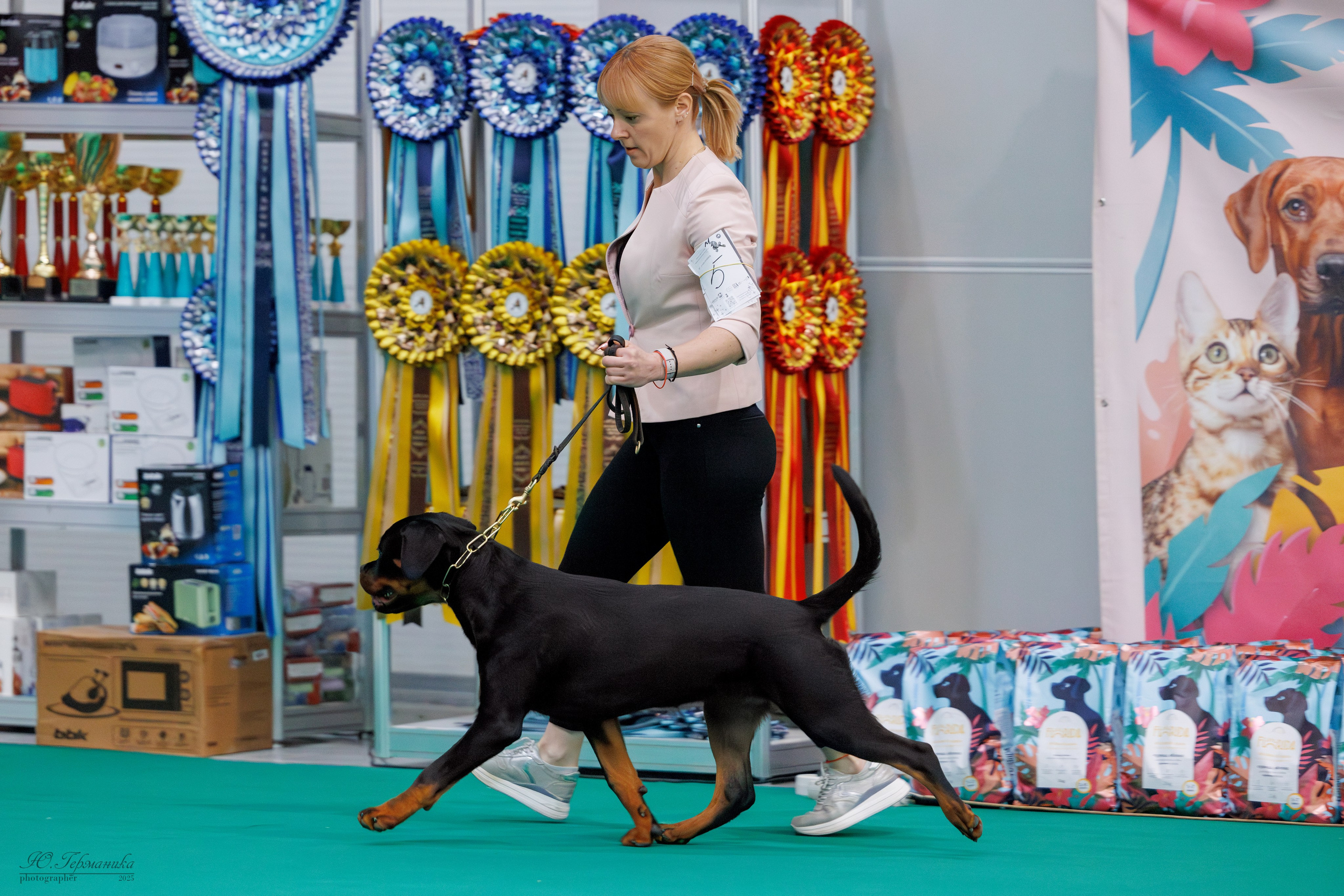 Сфера и Крокус 8,9,16 и 30.03.2025. Фотограф-анималист Юлия Германика