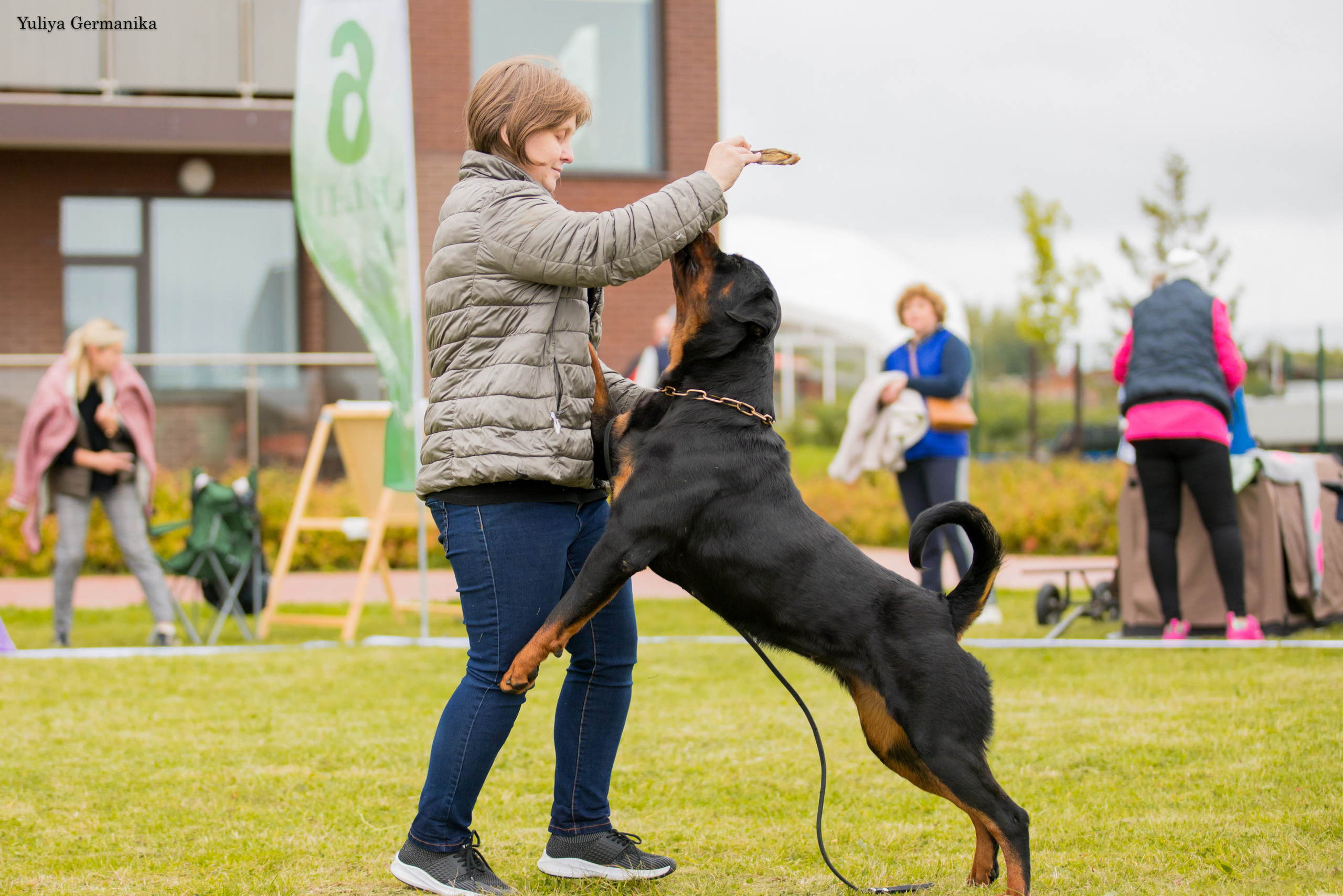 Переславль 9-10.09.2023. Фотограф-анималист Юлия Германика