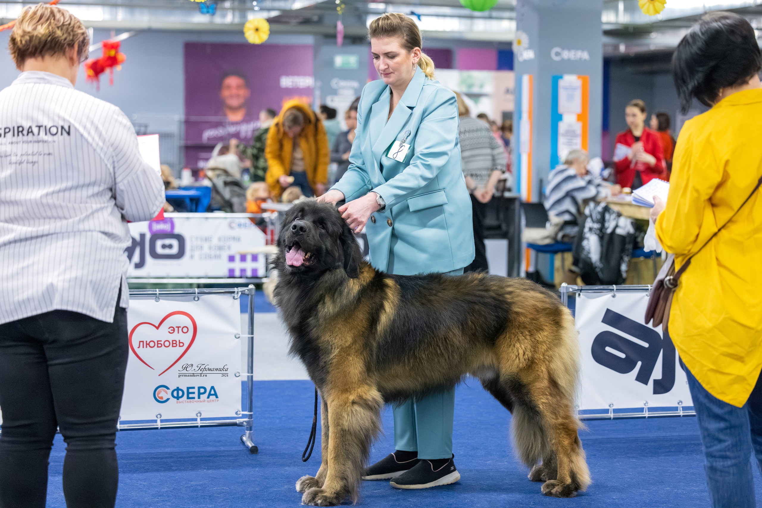 Сфера 17.03.2024. Фотограф-анималист Юлия Германика