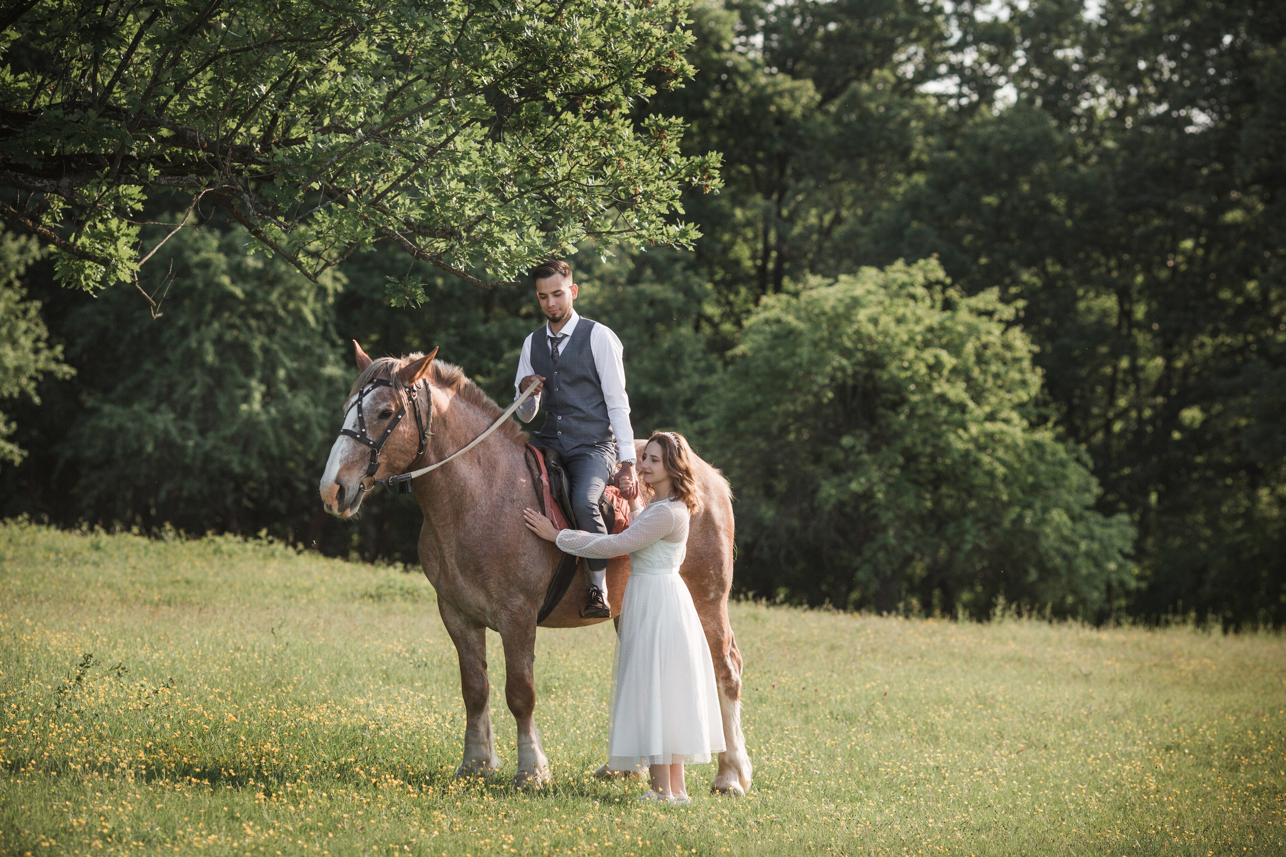 Прогулка в лесу. Свадебный и семейный фотограф в Краснодаре