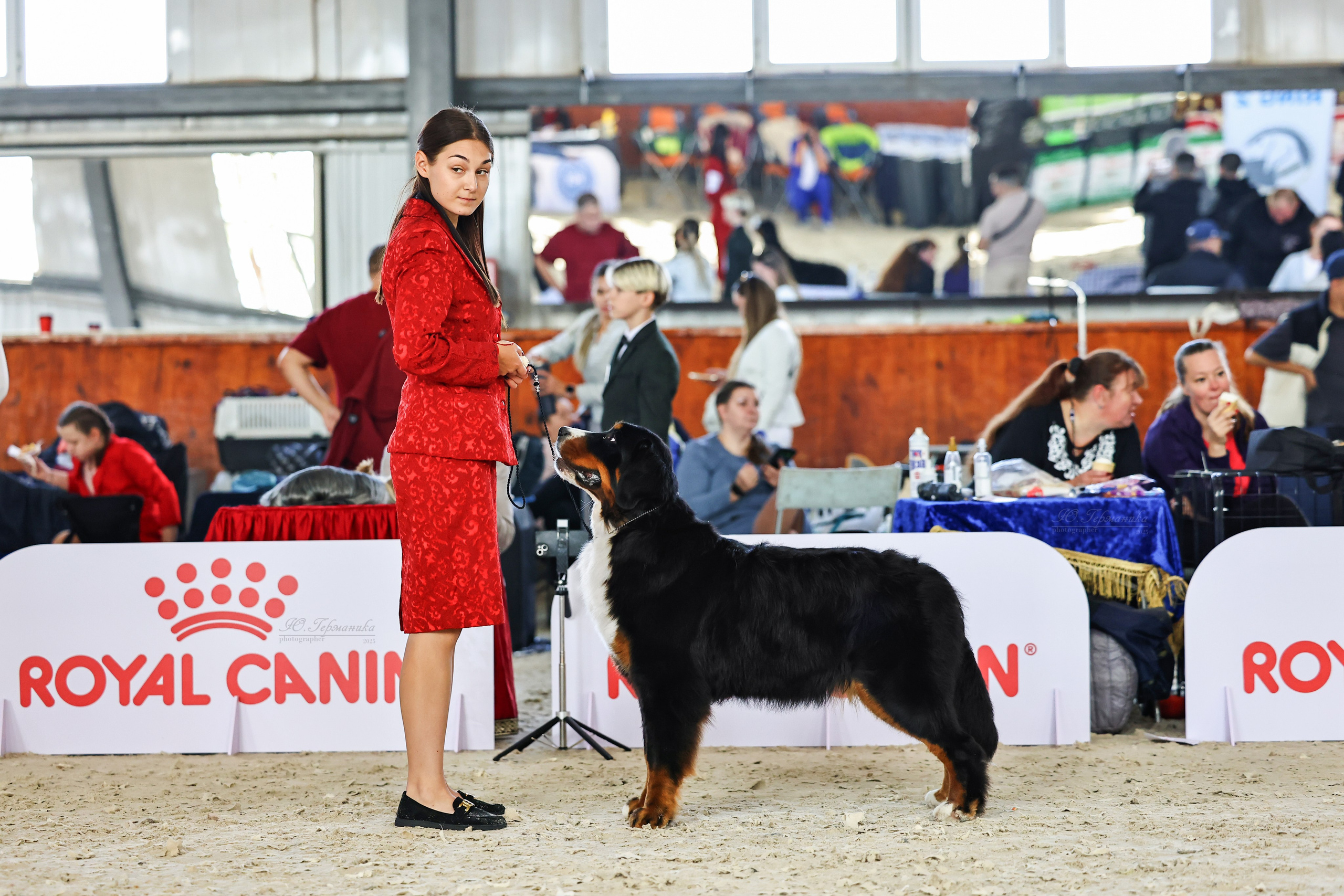 Астана 2хCACIB 26-28.09.2025. Фотограф-анималист Юлия Германика